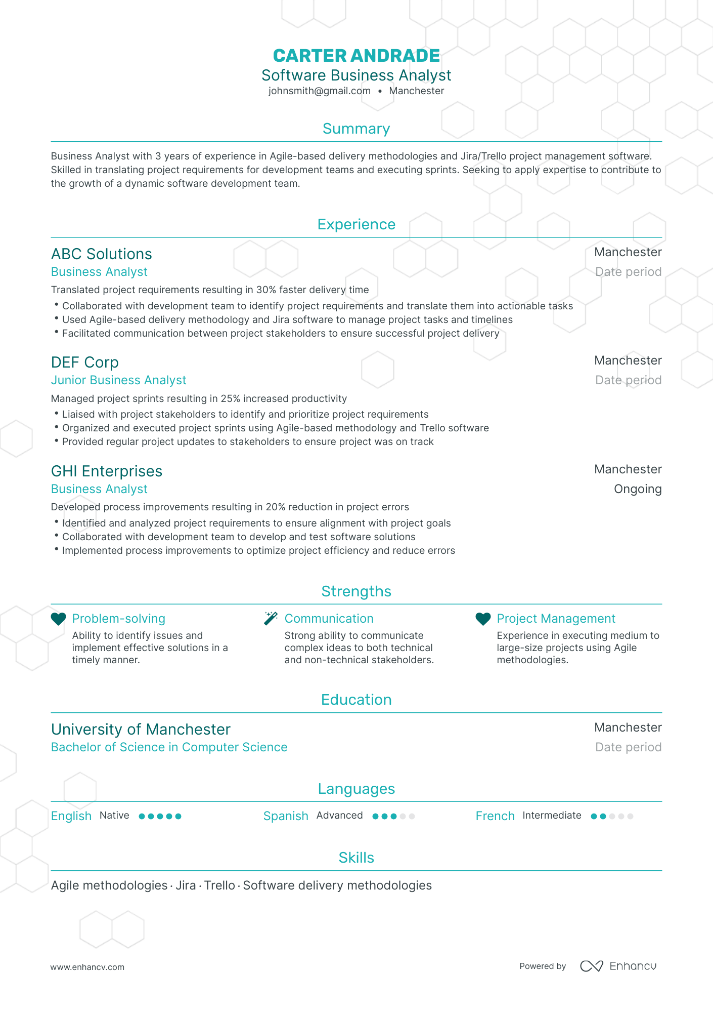 Traditional Software Business Analyst Resume Template