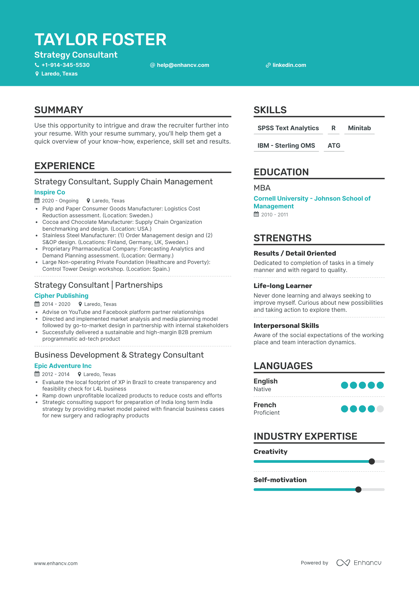 Creative Strategy Consultant Resume Template