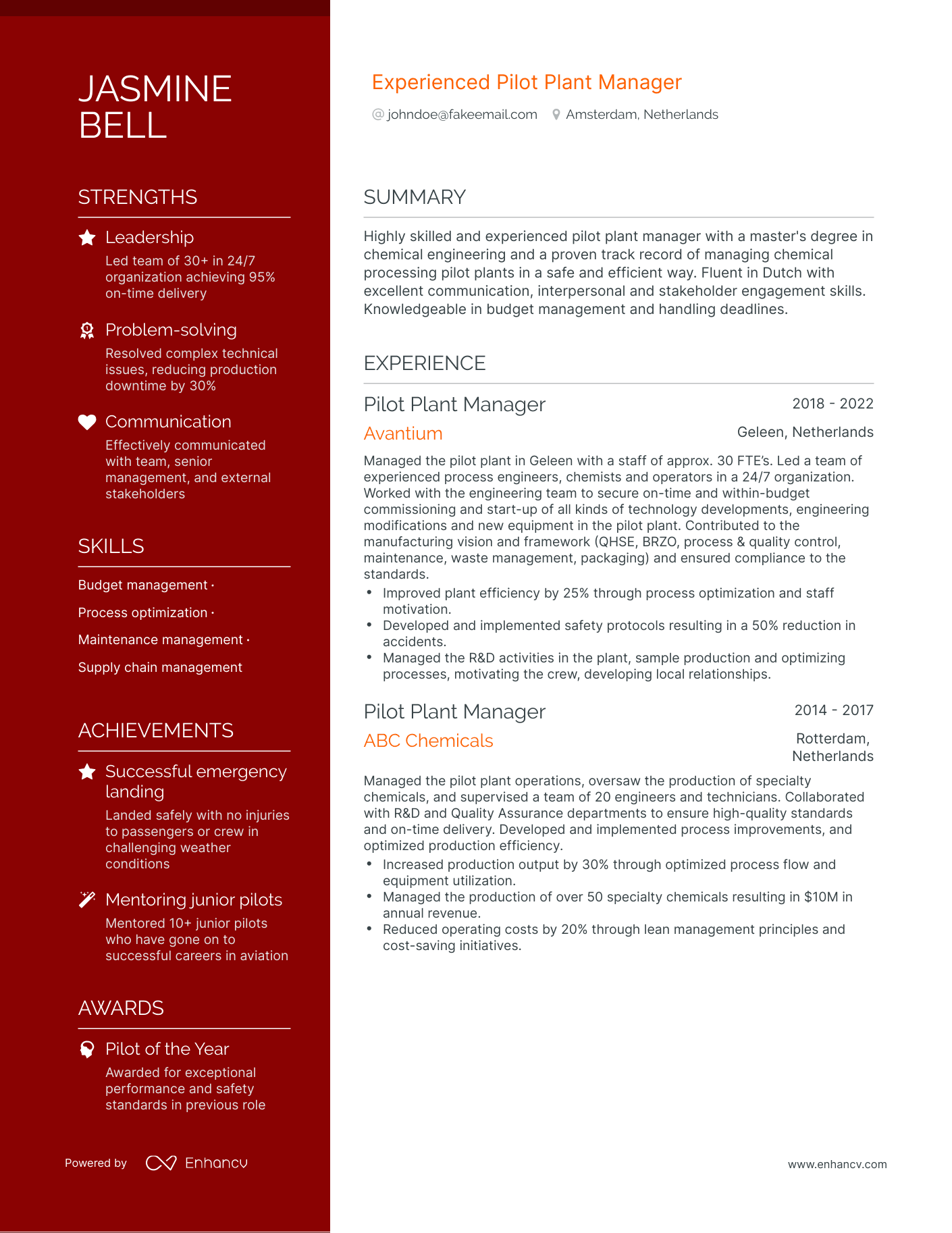 Polished Commercial Pilot Resume Template