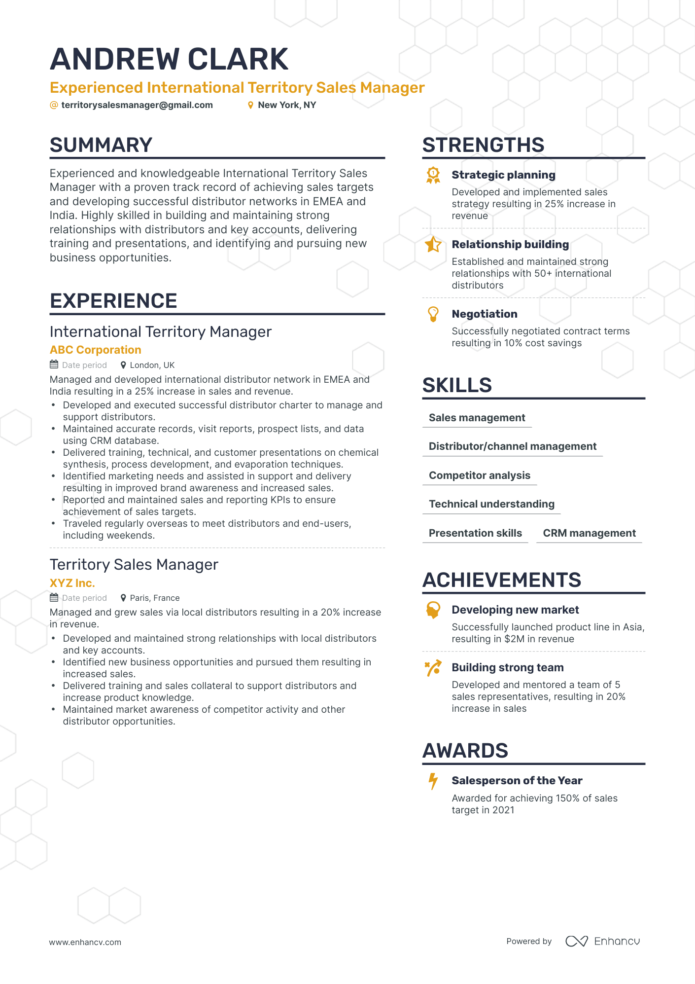 Simple Territory Sales Manager Resume Template