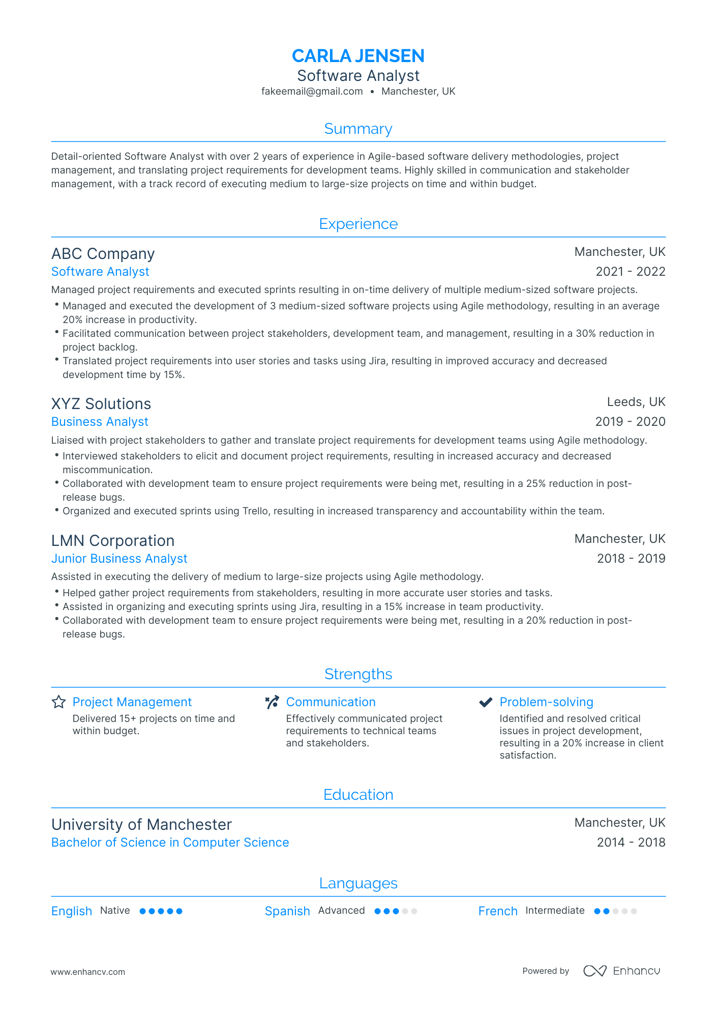 Traditional Software Analyst Resume Template