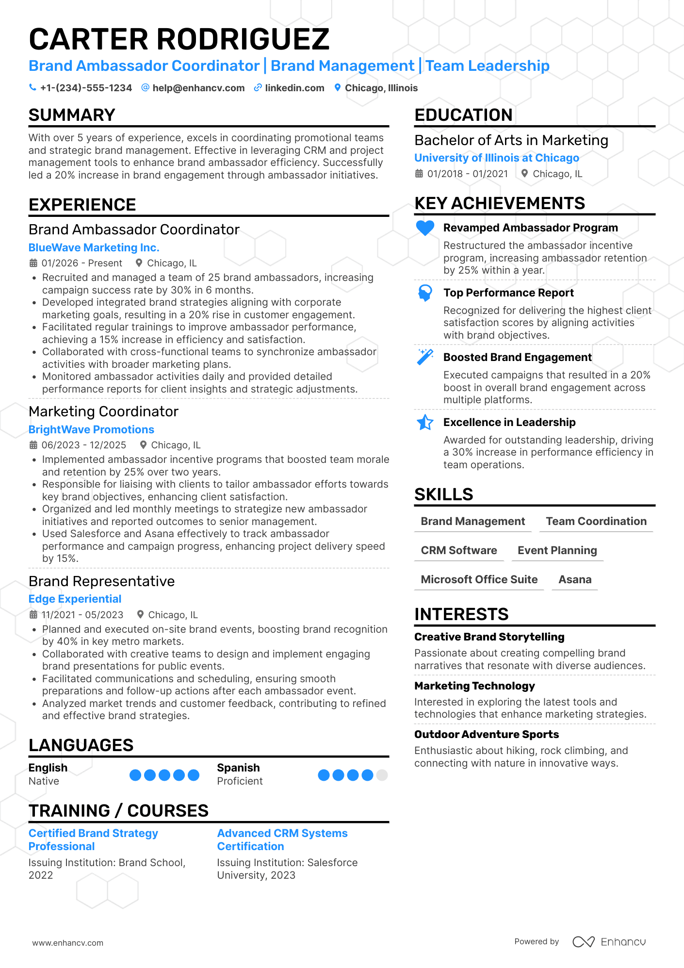 A resume example of a Brand Ambassador Coordinator