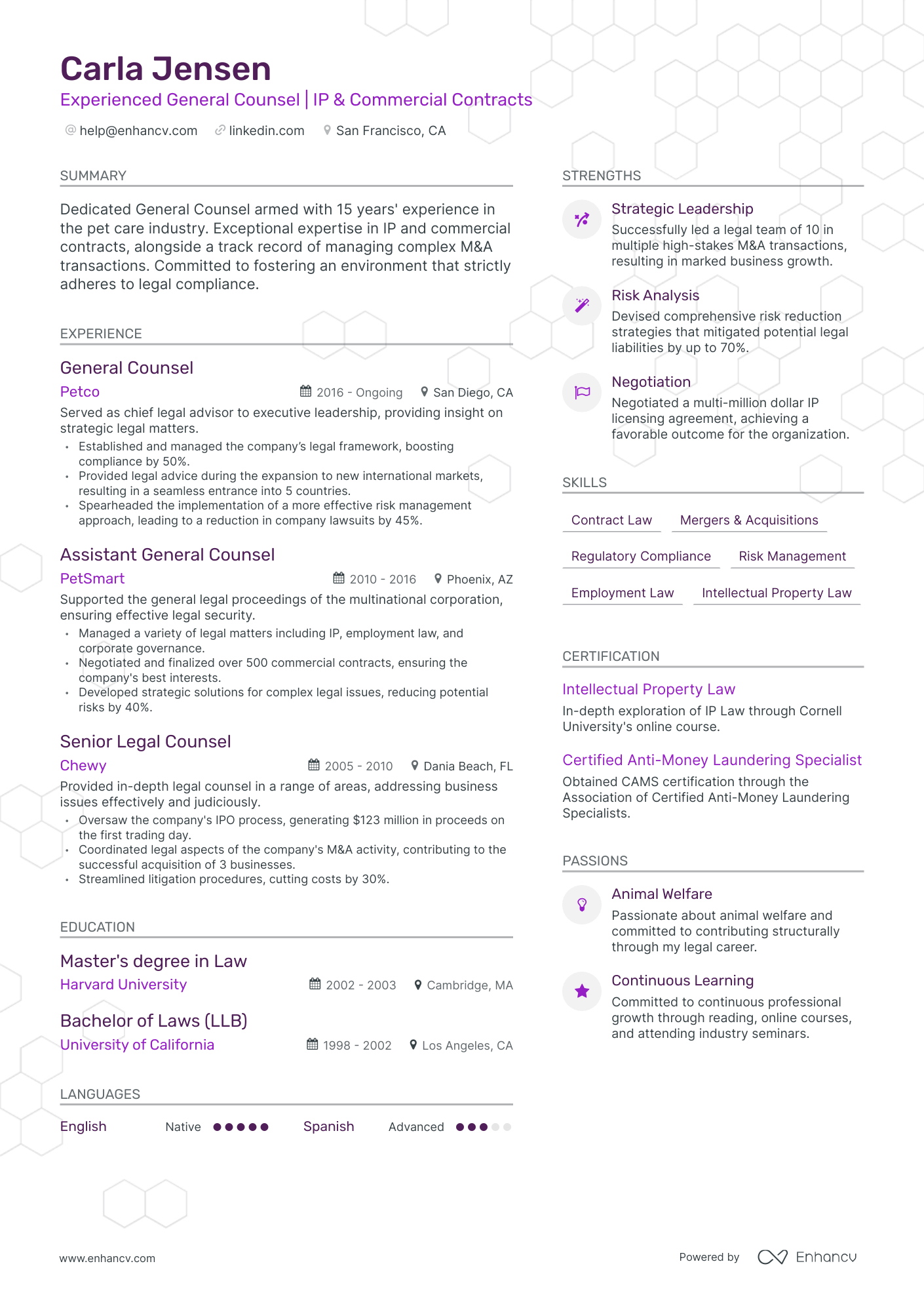 undefined General Counsel Resume Template
