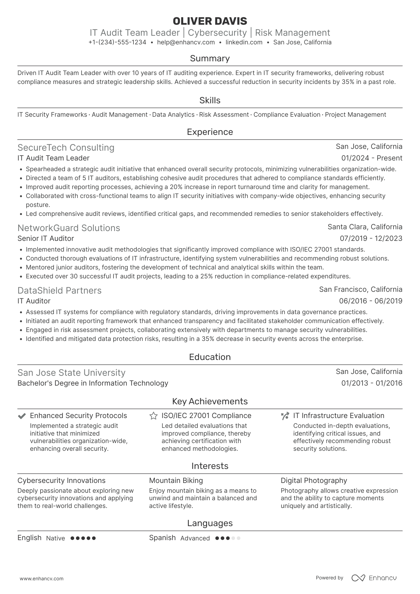 A resume example of a IT Audit Team Leader