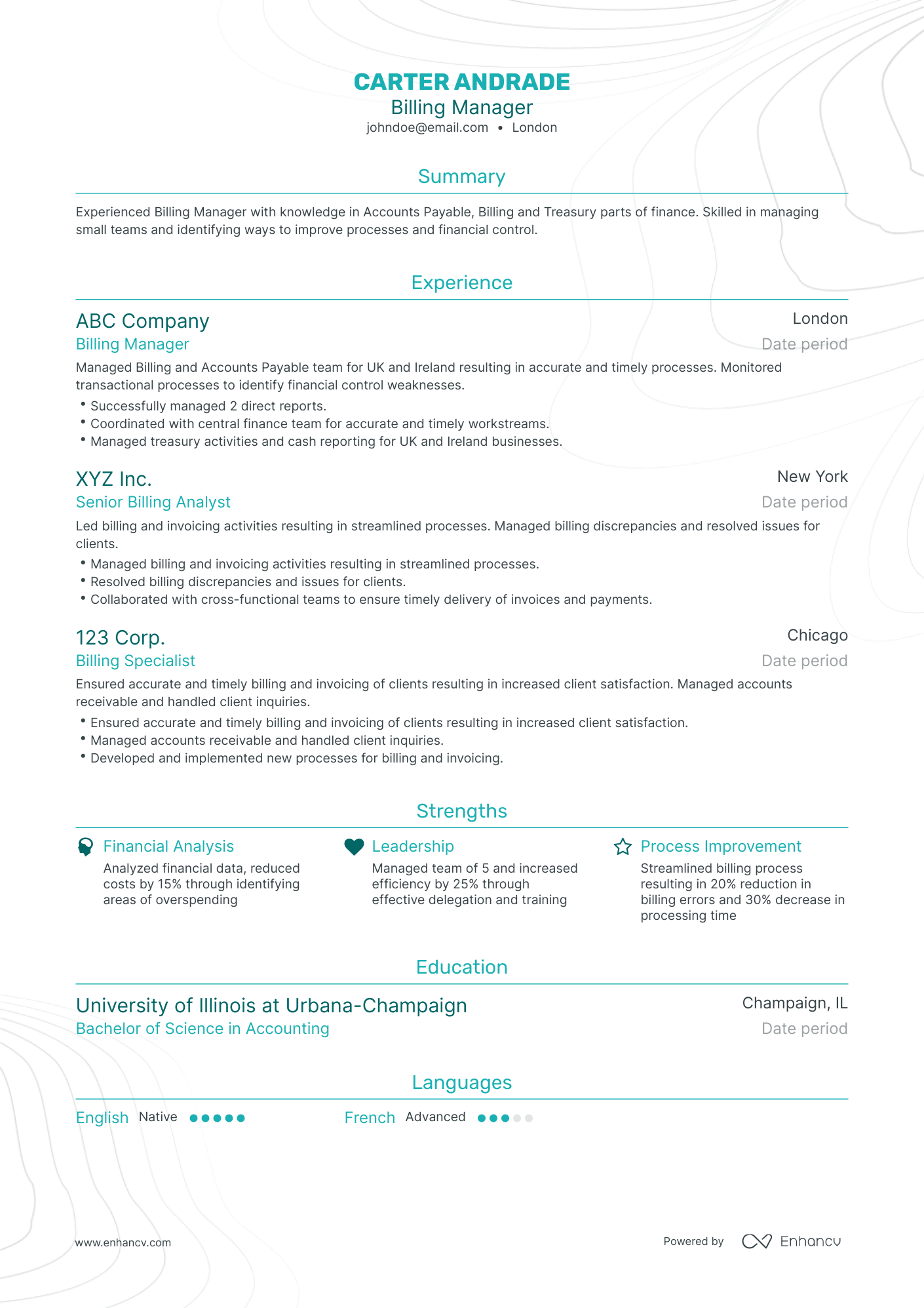 Traditional Billing Manager Resume Template
