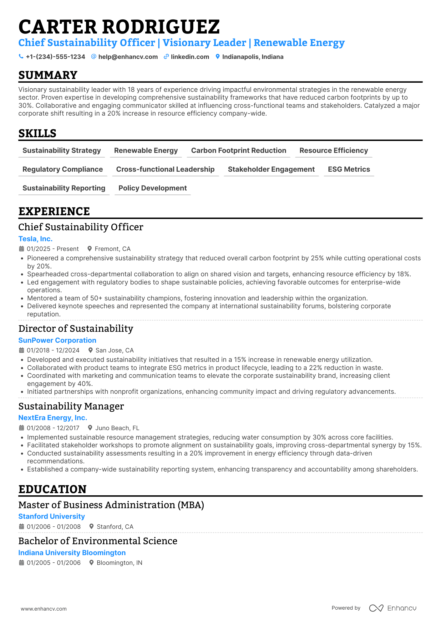 A resume example of a Vice President, Chief Sustainability Officer