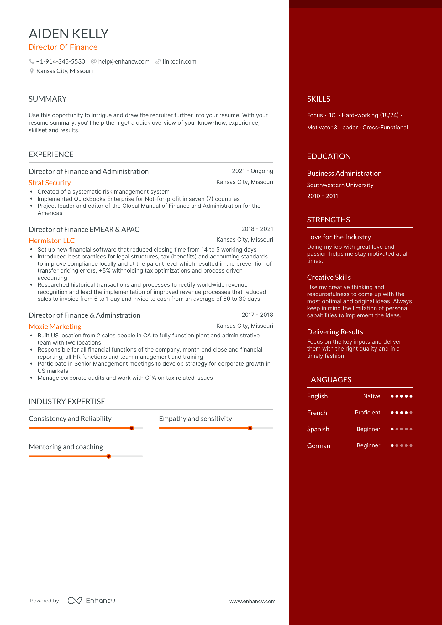 One Page Director Of Finance Resume Template