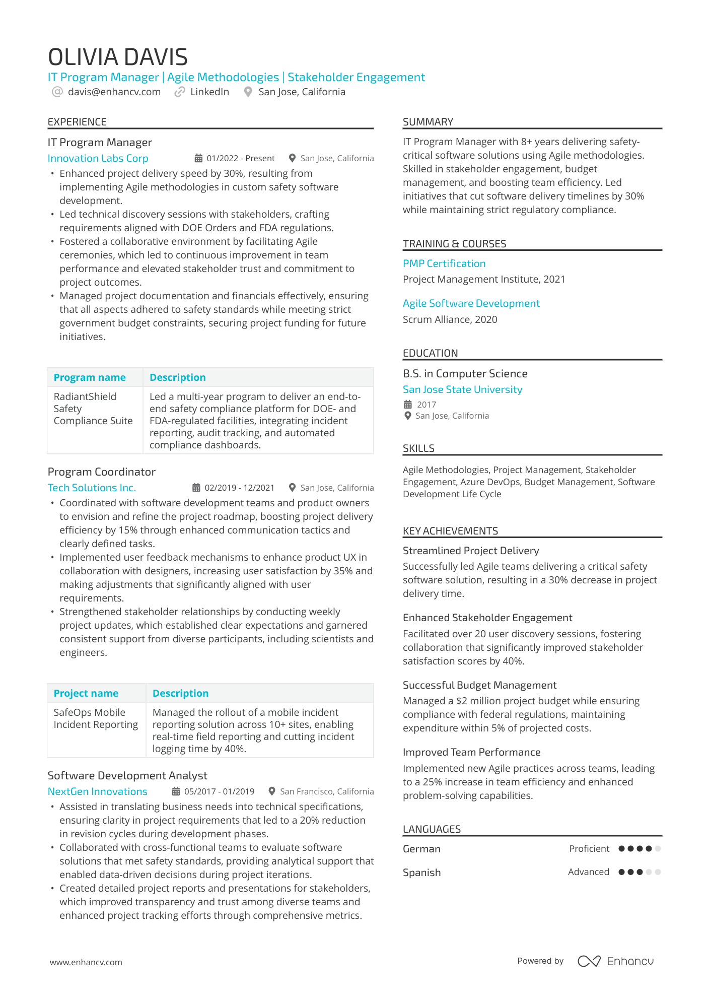 A resume example of a IT / Software Program Manager