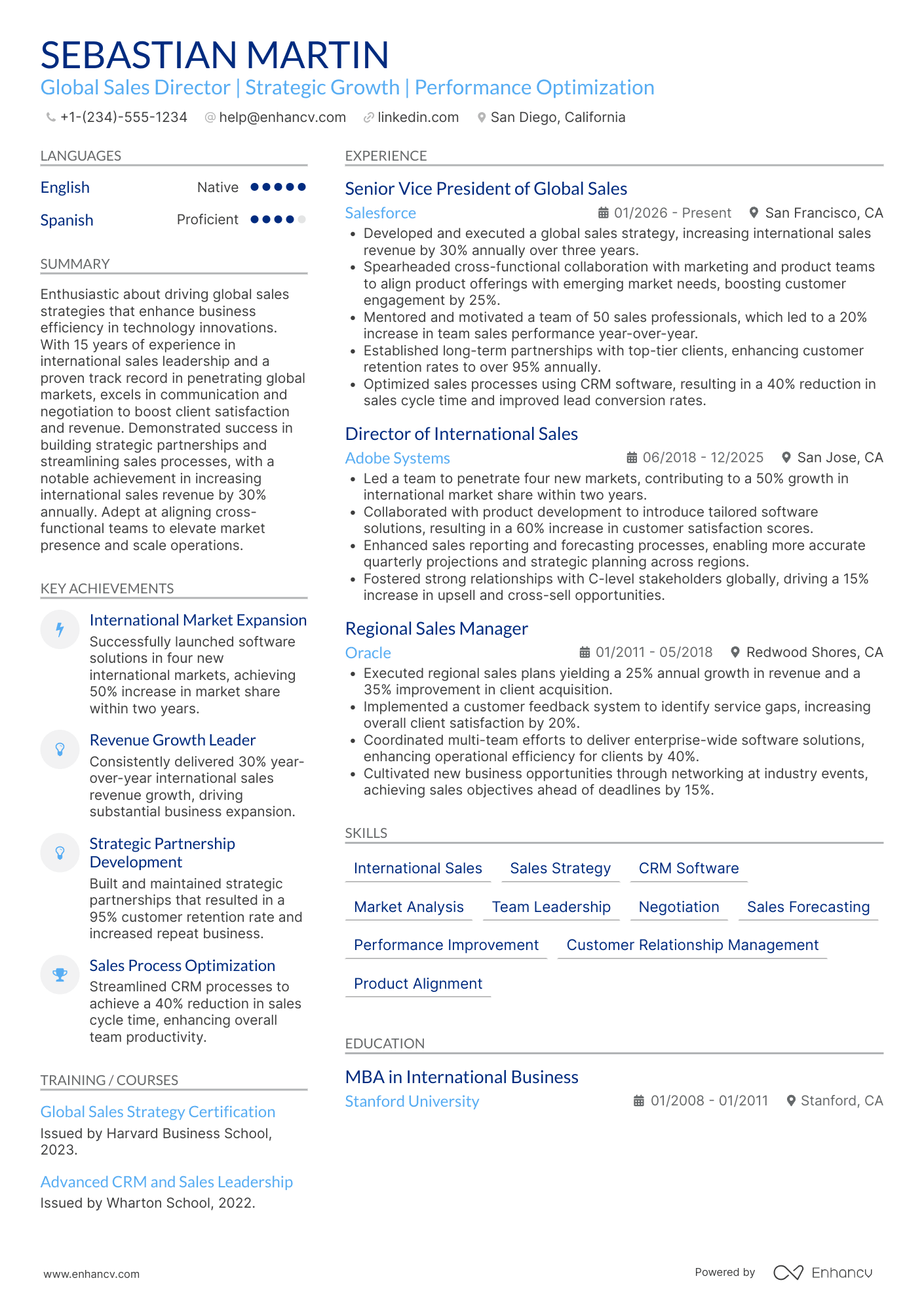 A resume example of a Global Sales Director