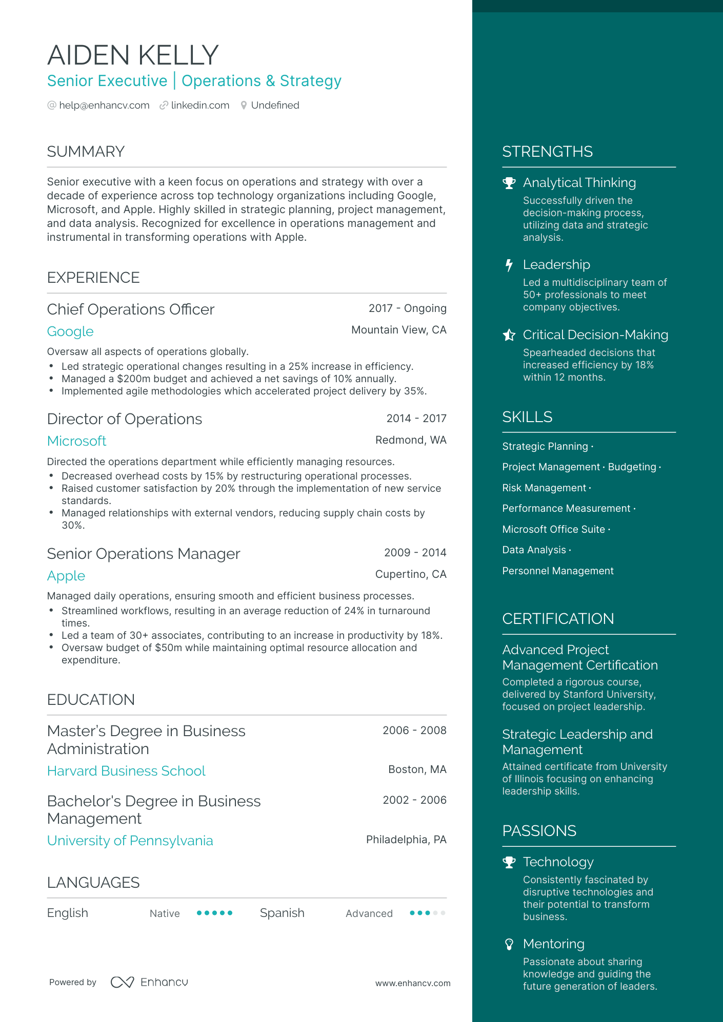 undefined Board of Directors Resume Template