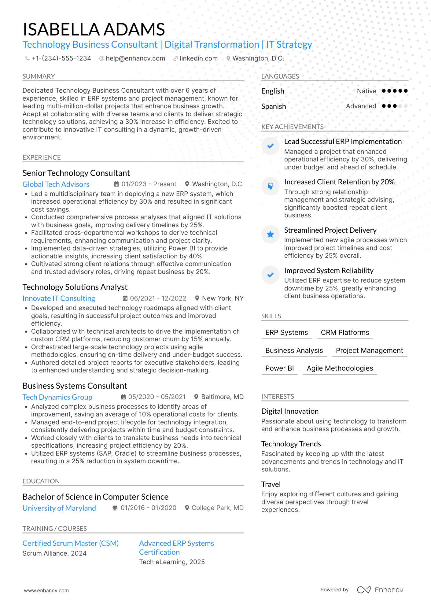 A resume example of a Technology Business Consultant