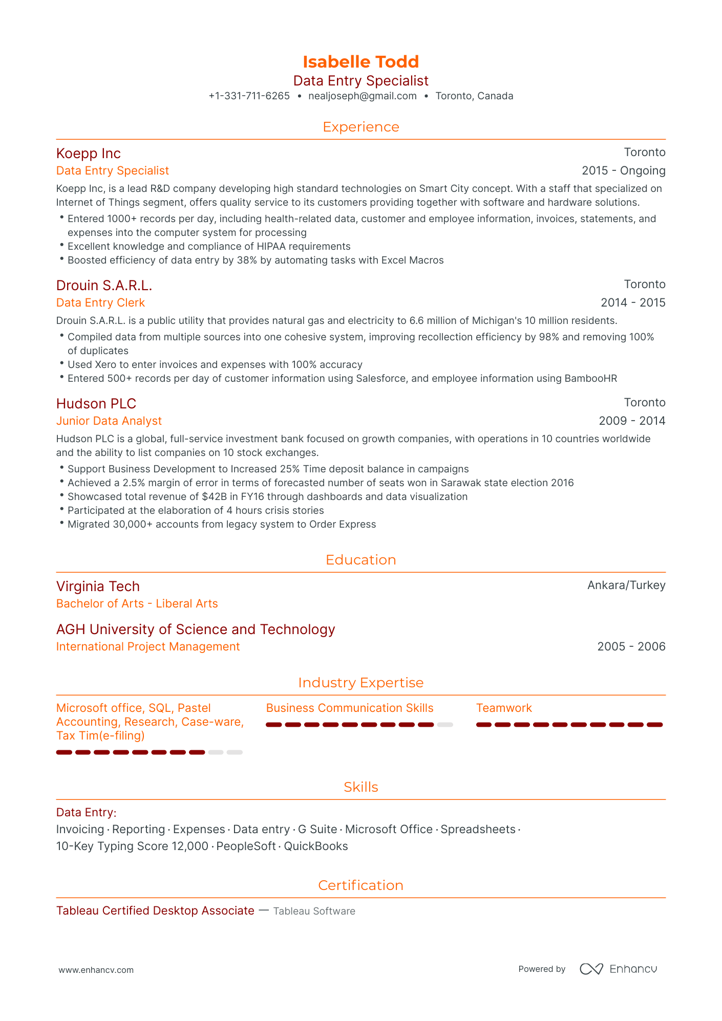 Traditional Data Entry Resume Template