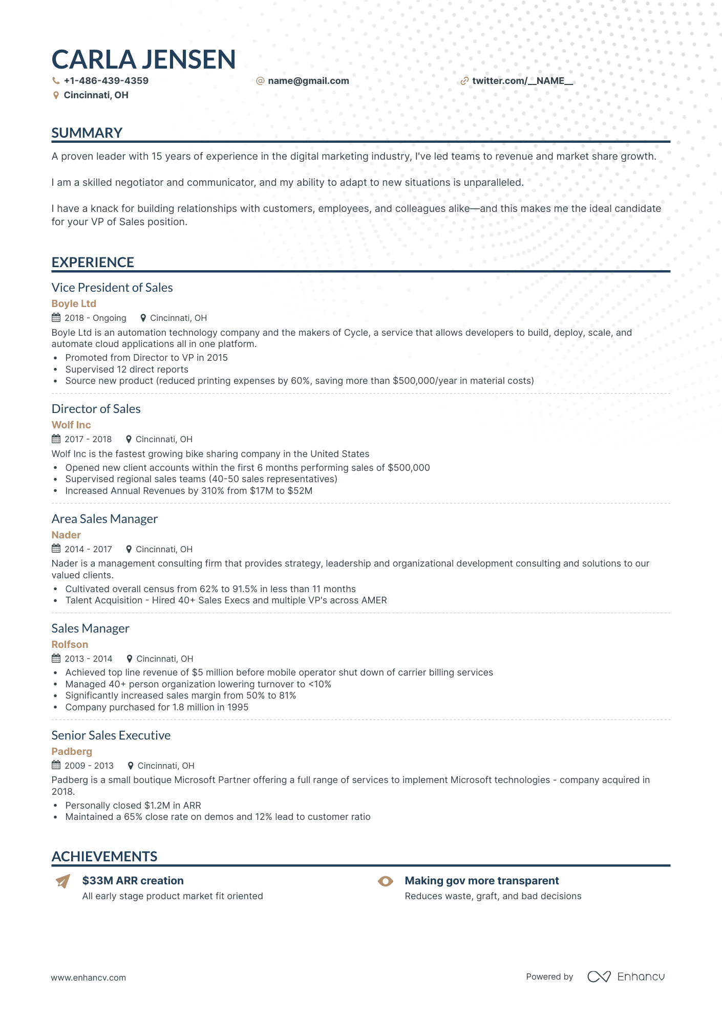 Classic VP of Sales Resume Template