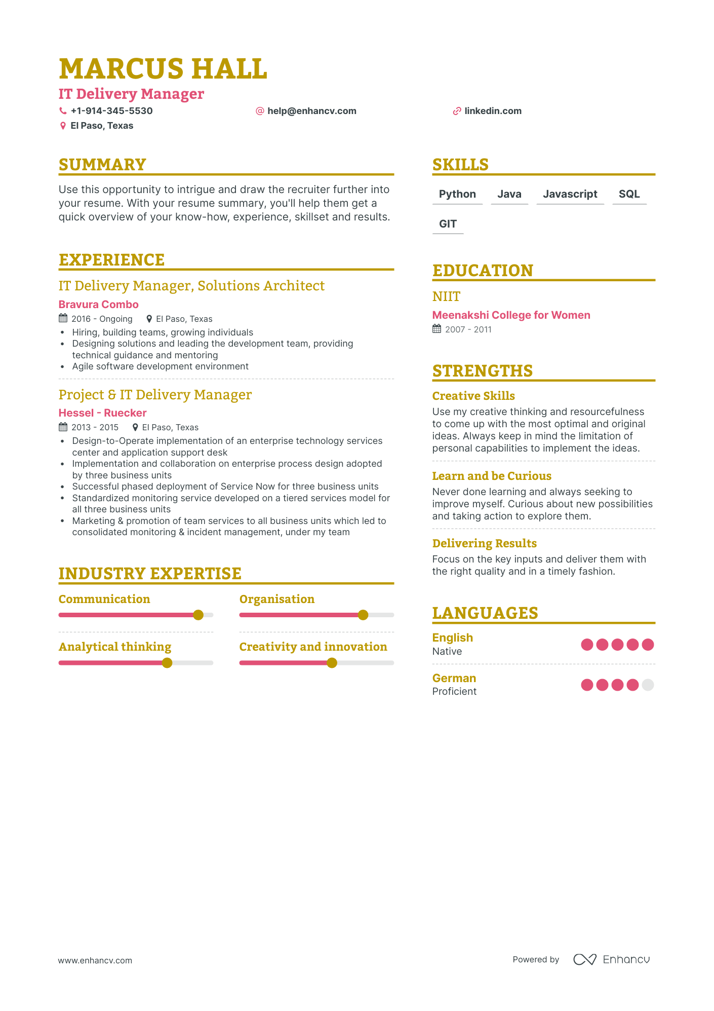 It Delivery Manager Resume Examples & Guide For 2023 (layout, Skills 