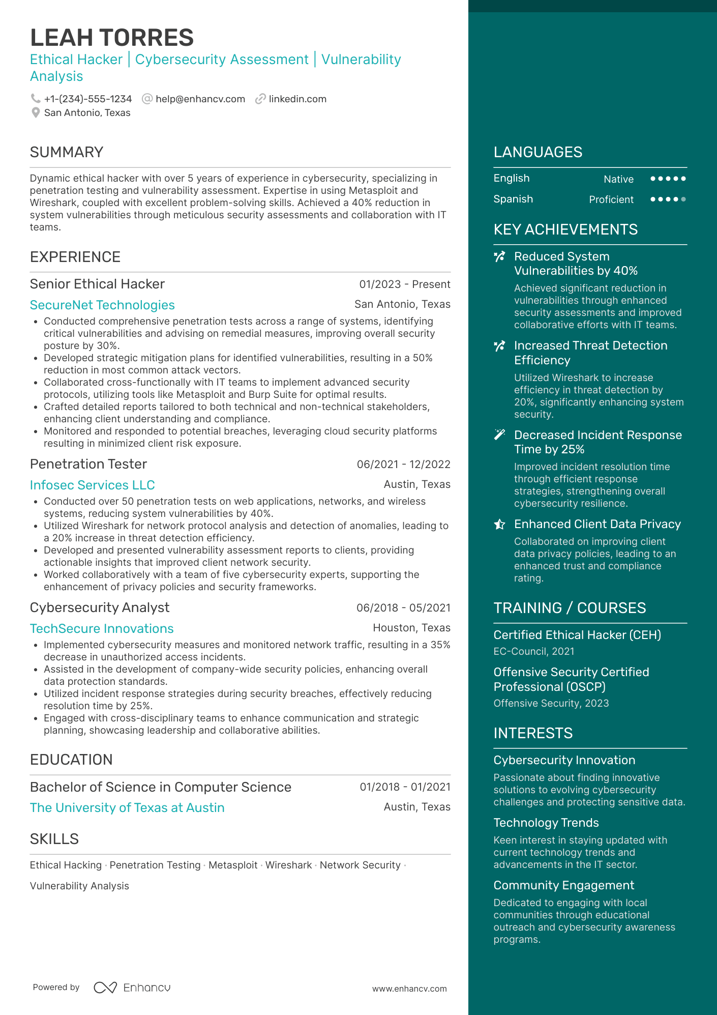 A resume example of a Freelance Ethical Hacker