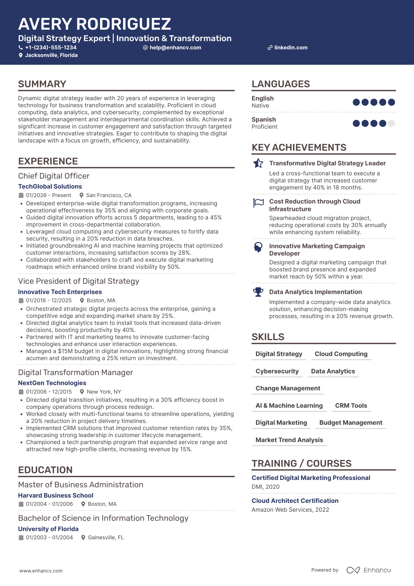 A resume example of a Digital CEO