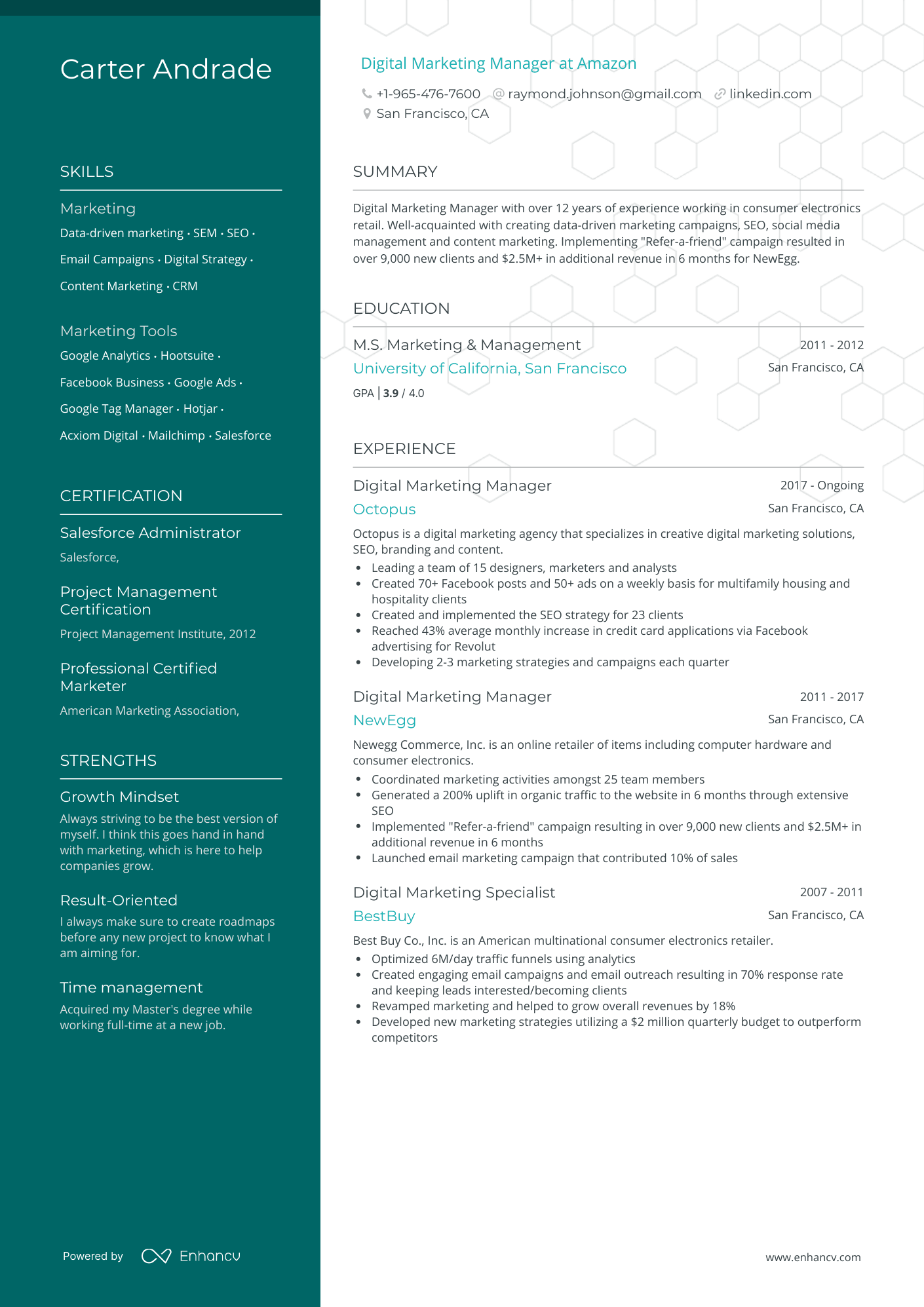 resume summary examples for online marketing