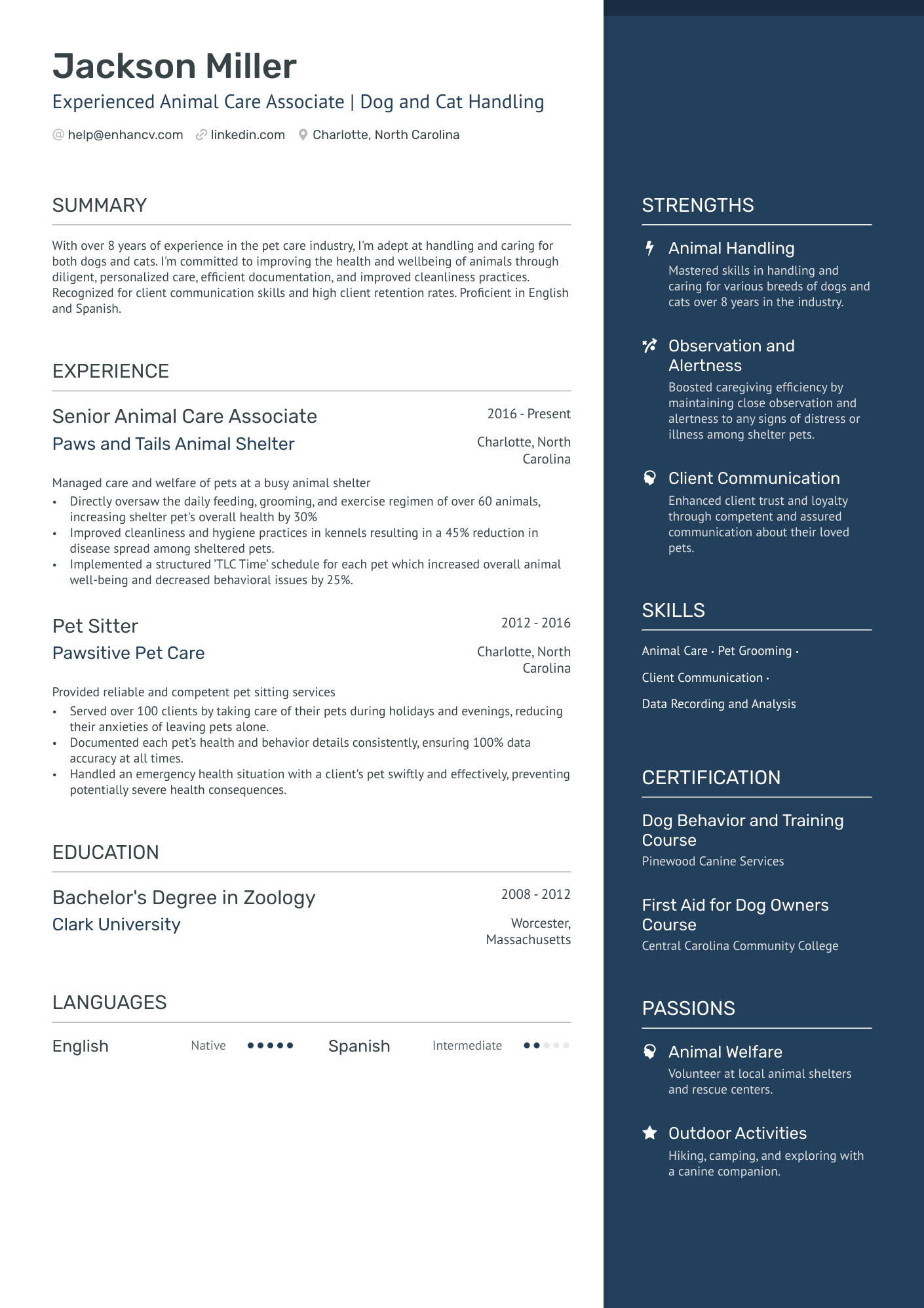 examples of caregiver resume