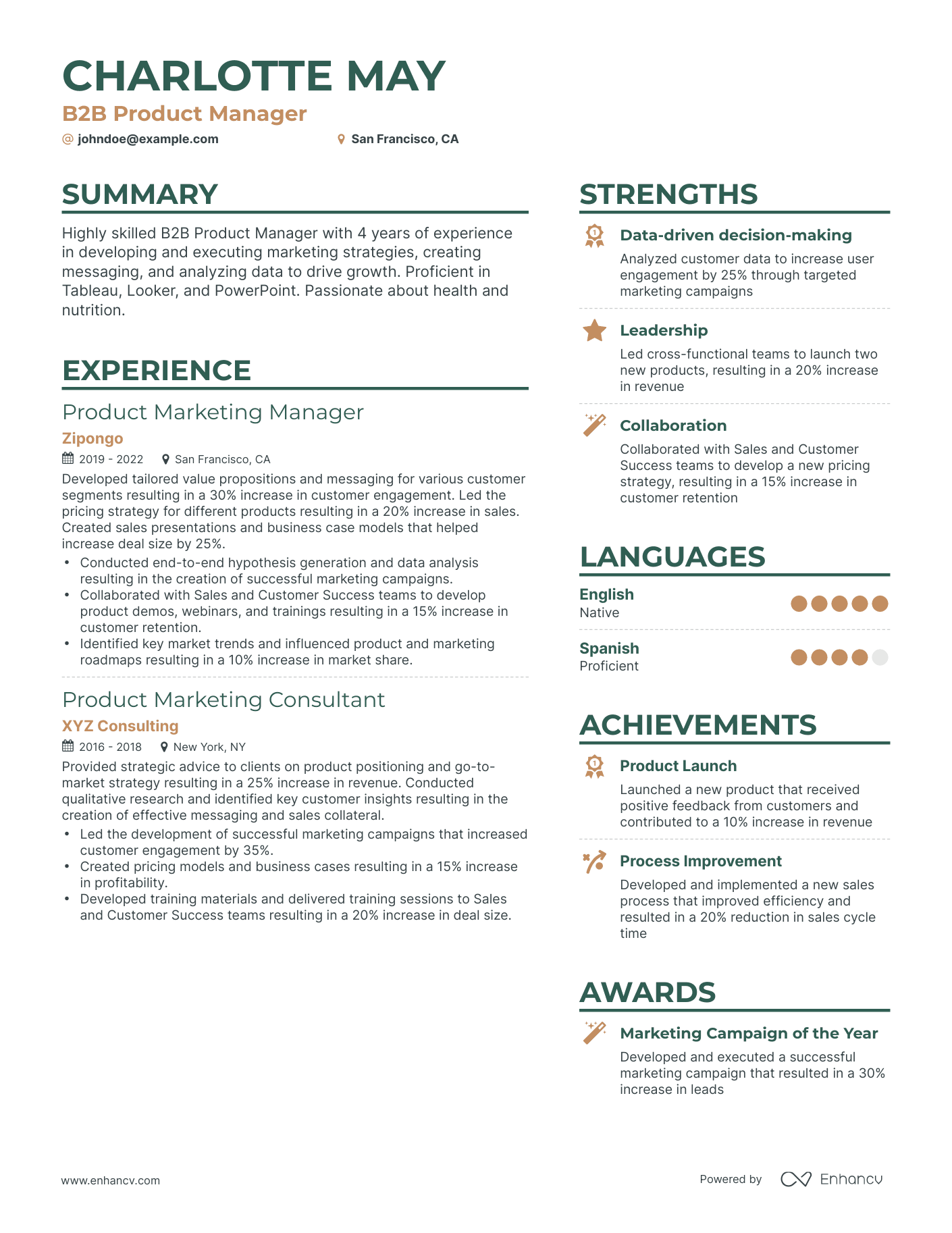 Simple B2B Product Manager Resume Template