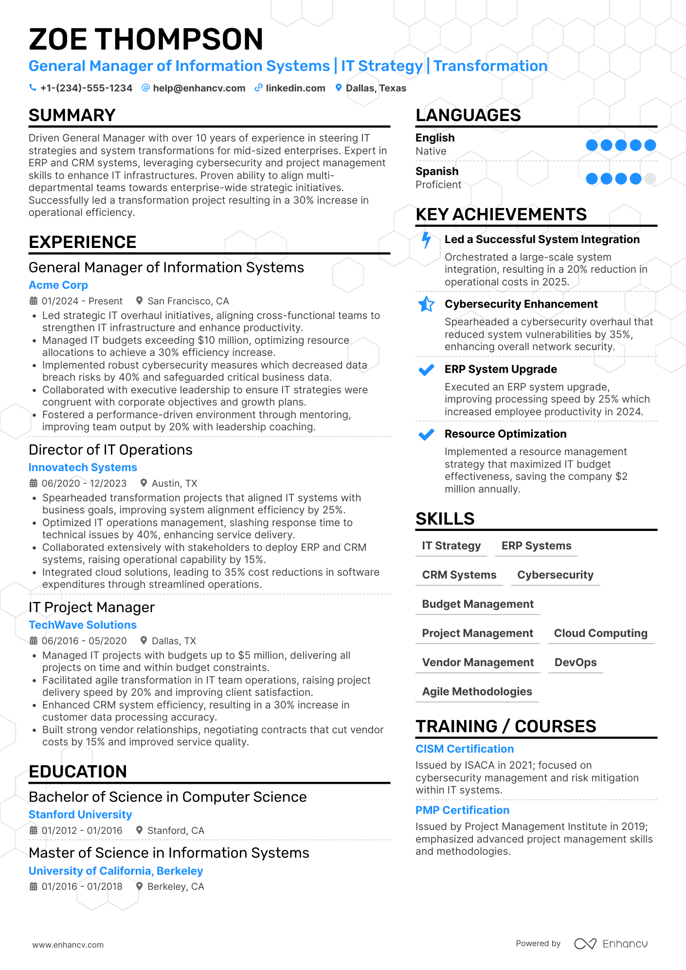 A resume example of a General Manager of Information Systems