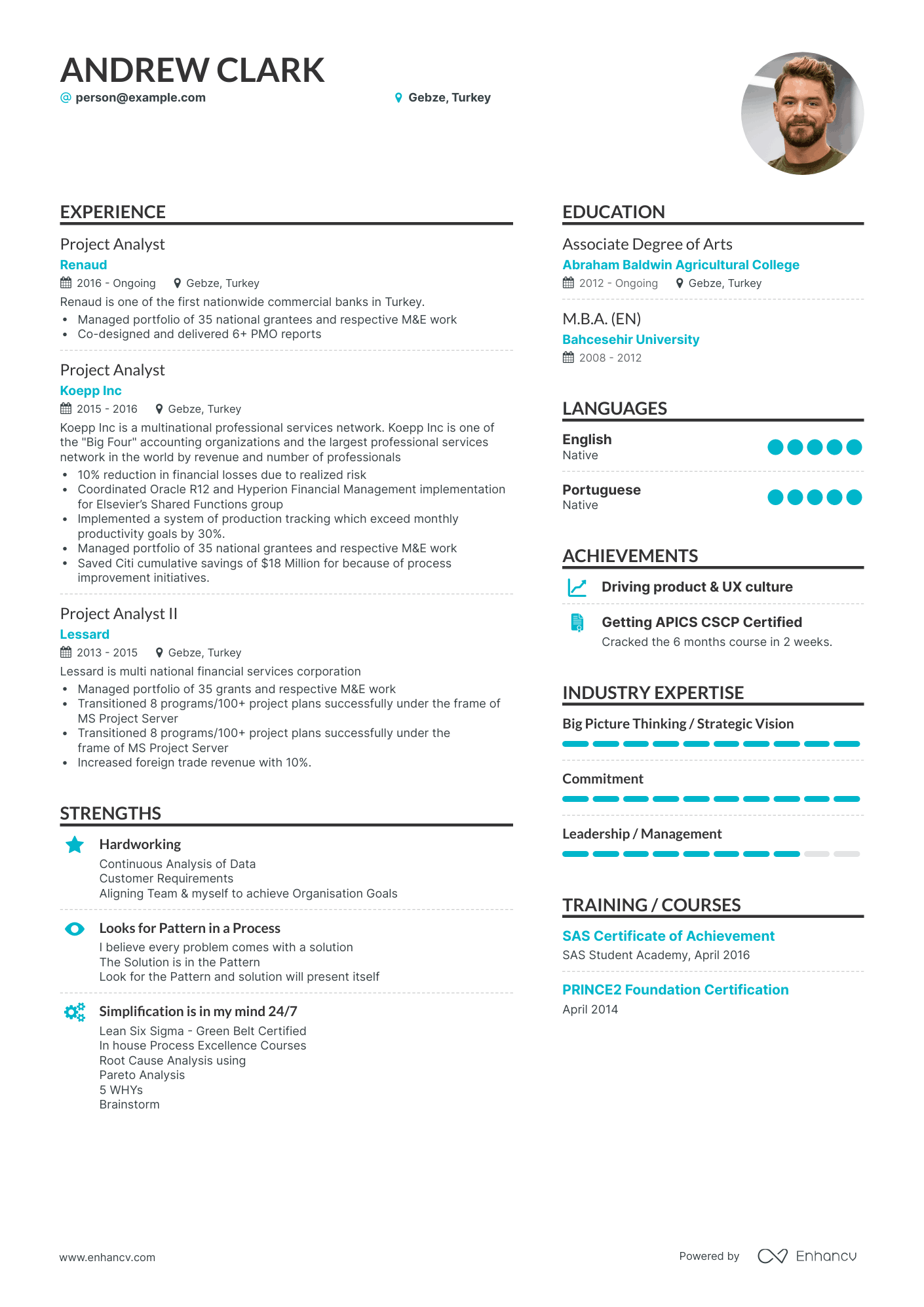 Simple Project Analyst Resume Template
