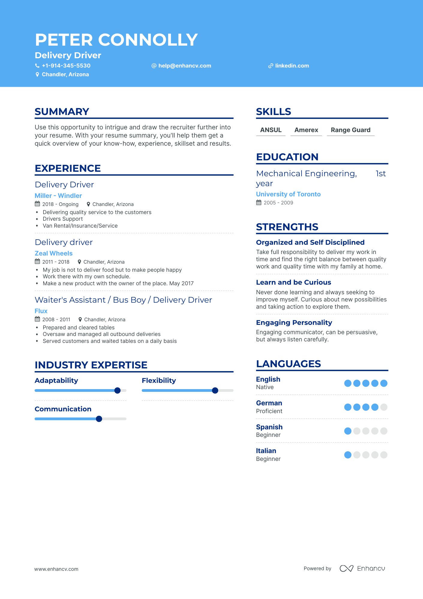 Creative Delivery Driver Resume Template