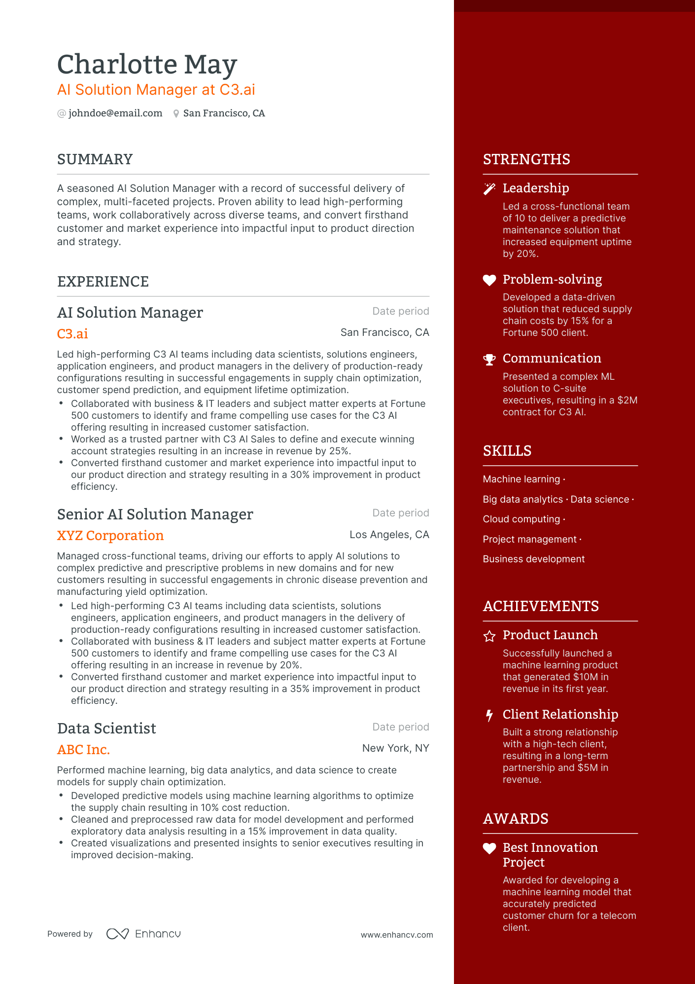 One Page Solution Manager Resume Template