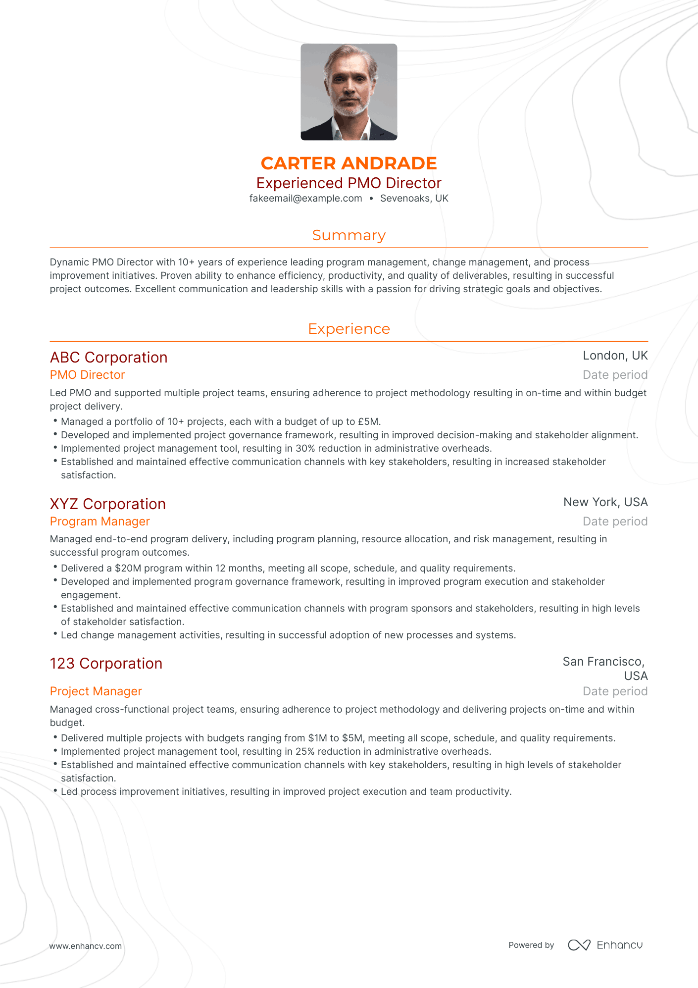Traditional Pmo Director Resume Template