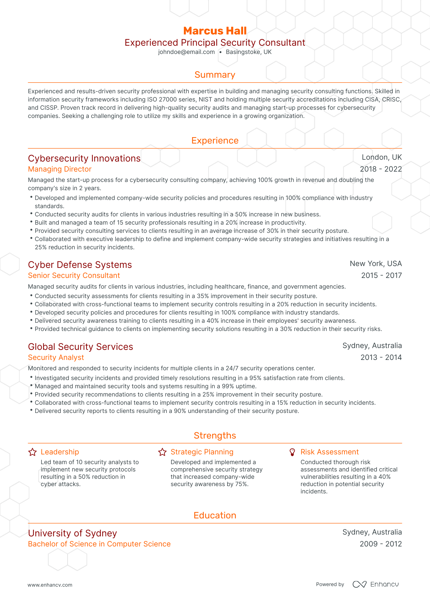 Traditional Security Director Resume Template