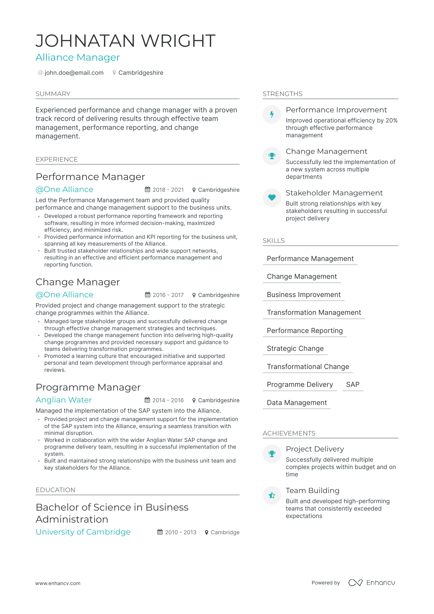 Modern Alliance Manager Resume Template