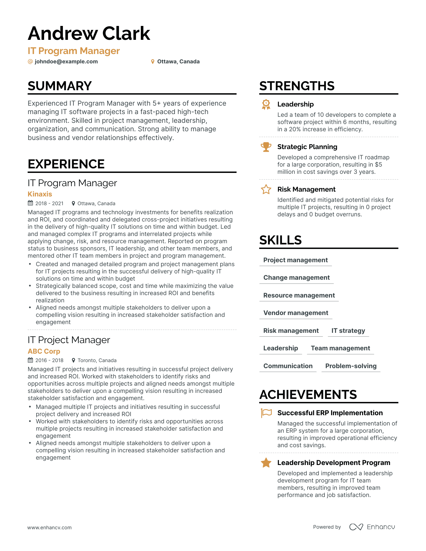 Simple IT Program Manager Resume Template