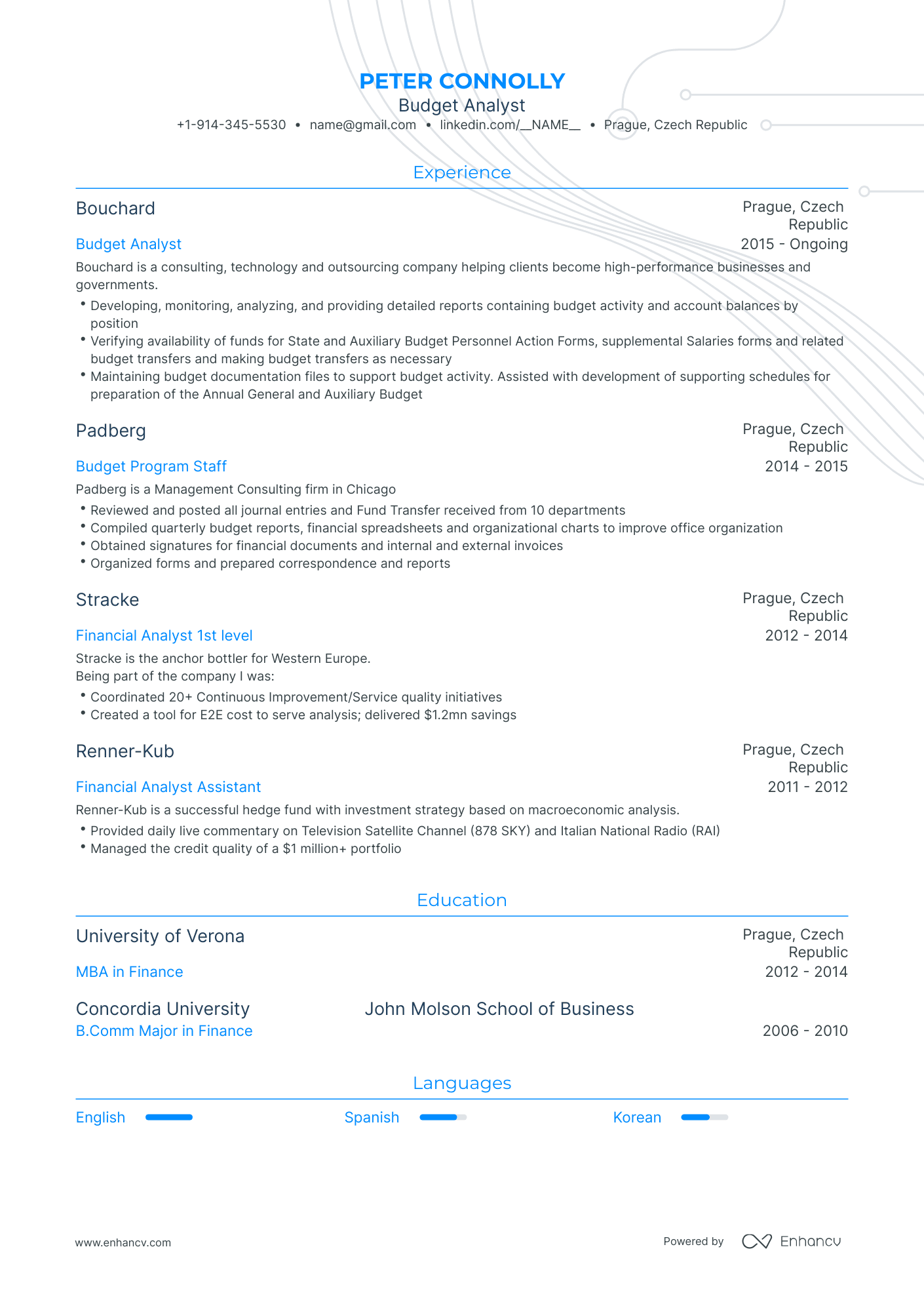 Traditional Budget Analyst Resume Template