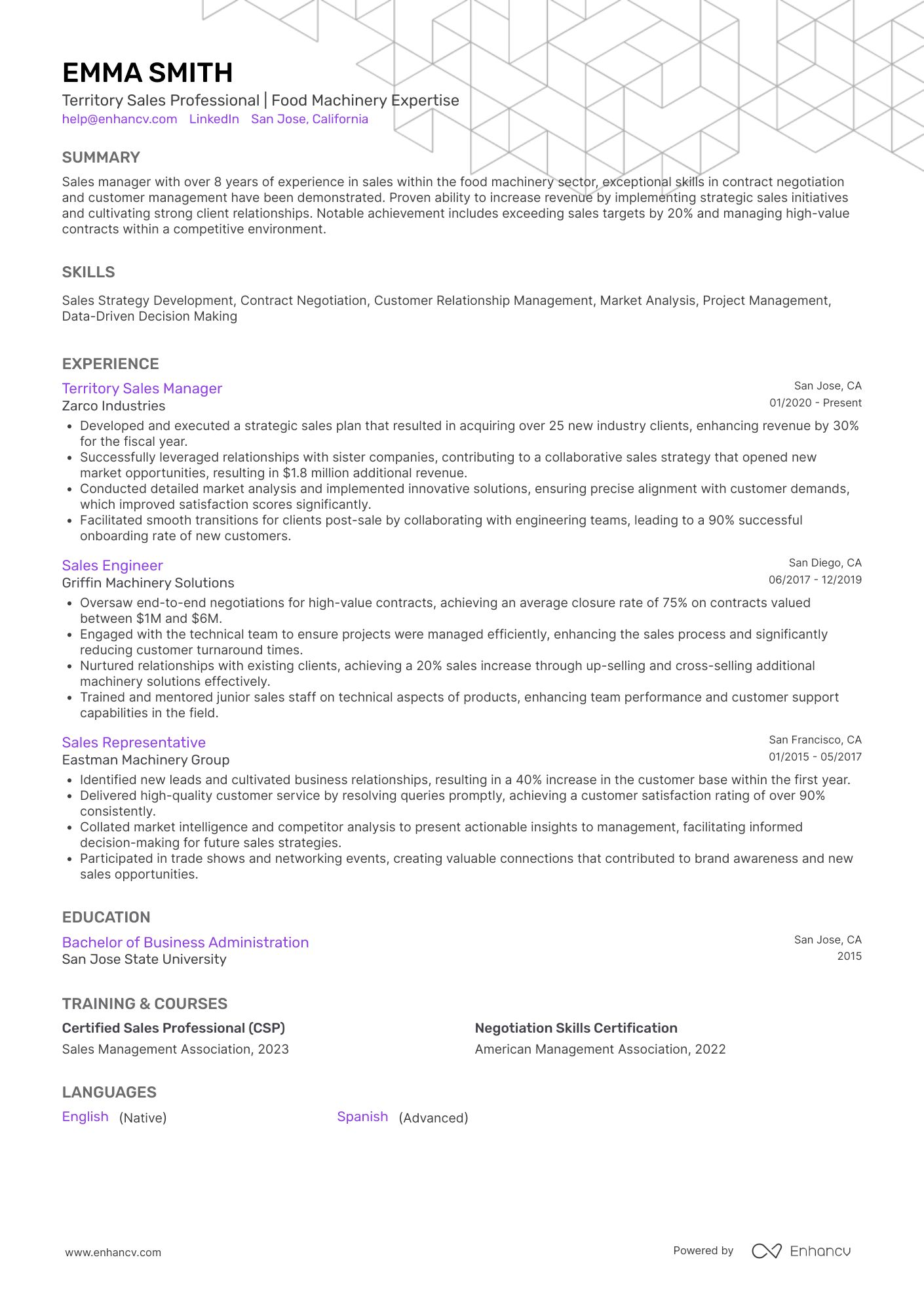A resume example of a Territory Sales Manager