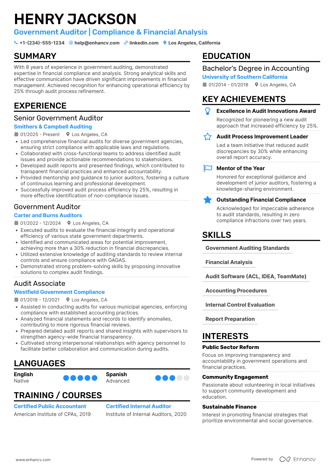 A resume example of a Government Auditor