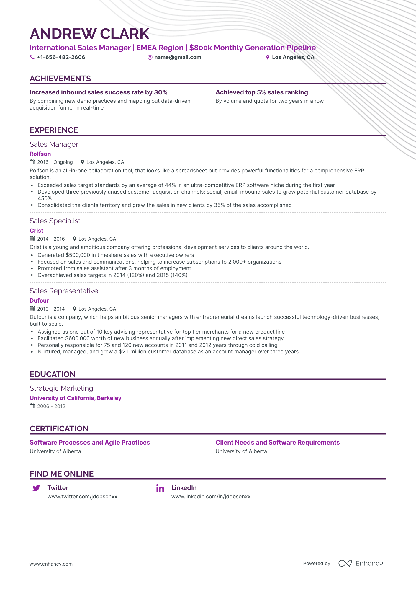 Classic Sales Manager Resume Template