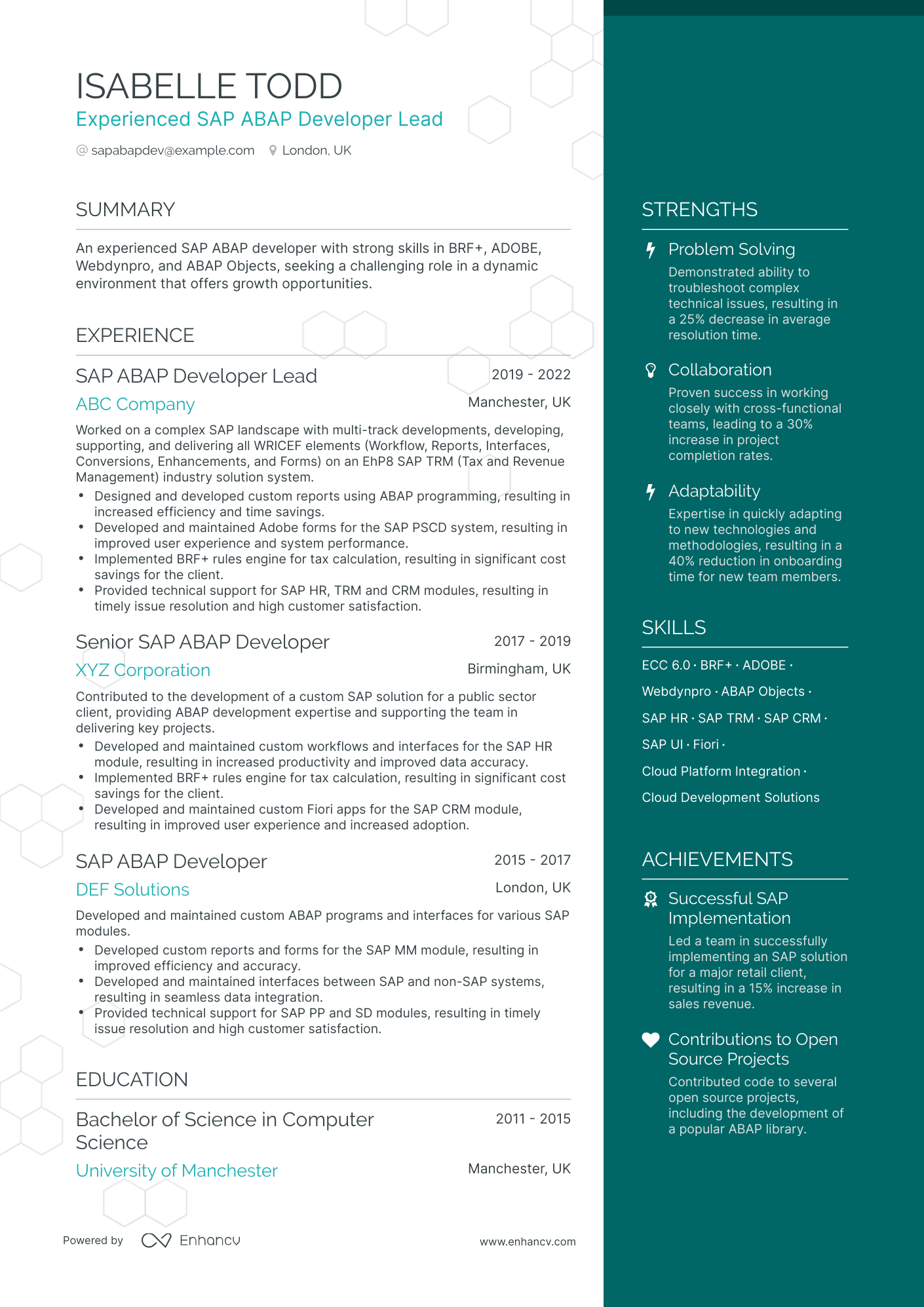 One Page SAP ABAP Developer Resume Template
