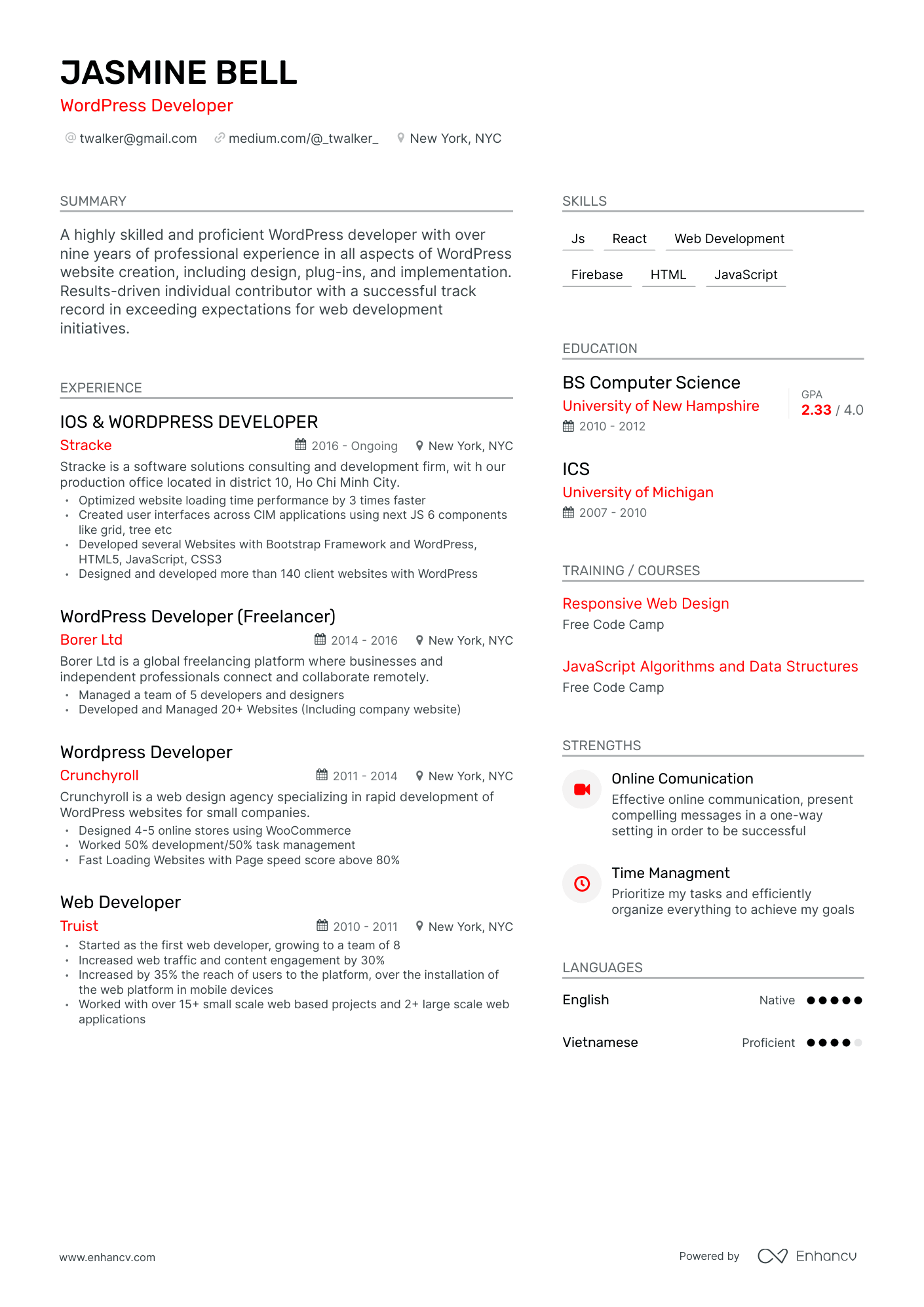 Modern Wordpress Developer Resume Template