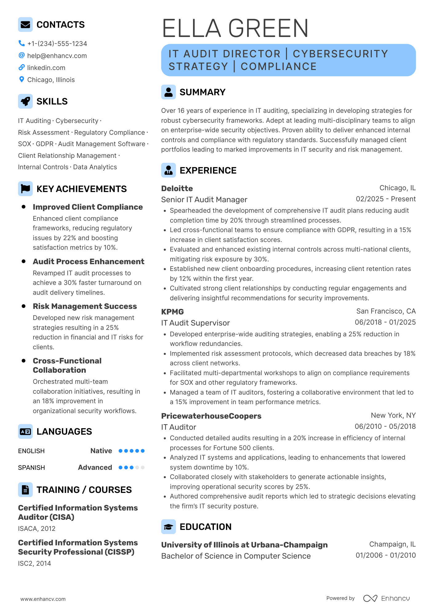 A resume example of a IT Audit Director