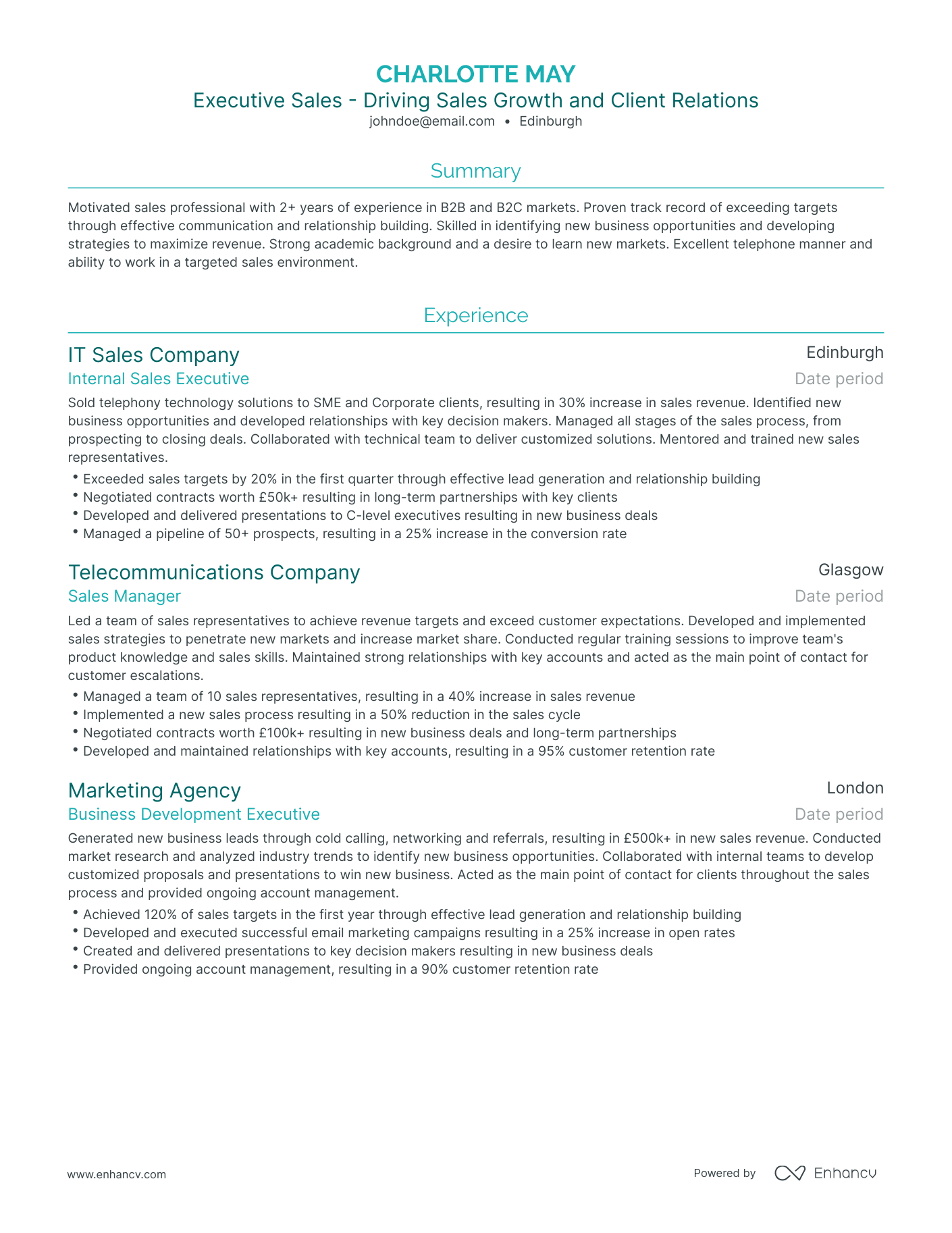 Traditional Executive Sales Resume Template