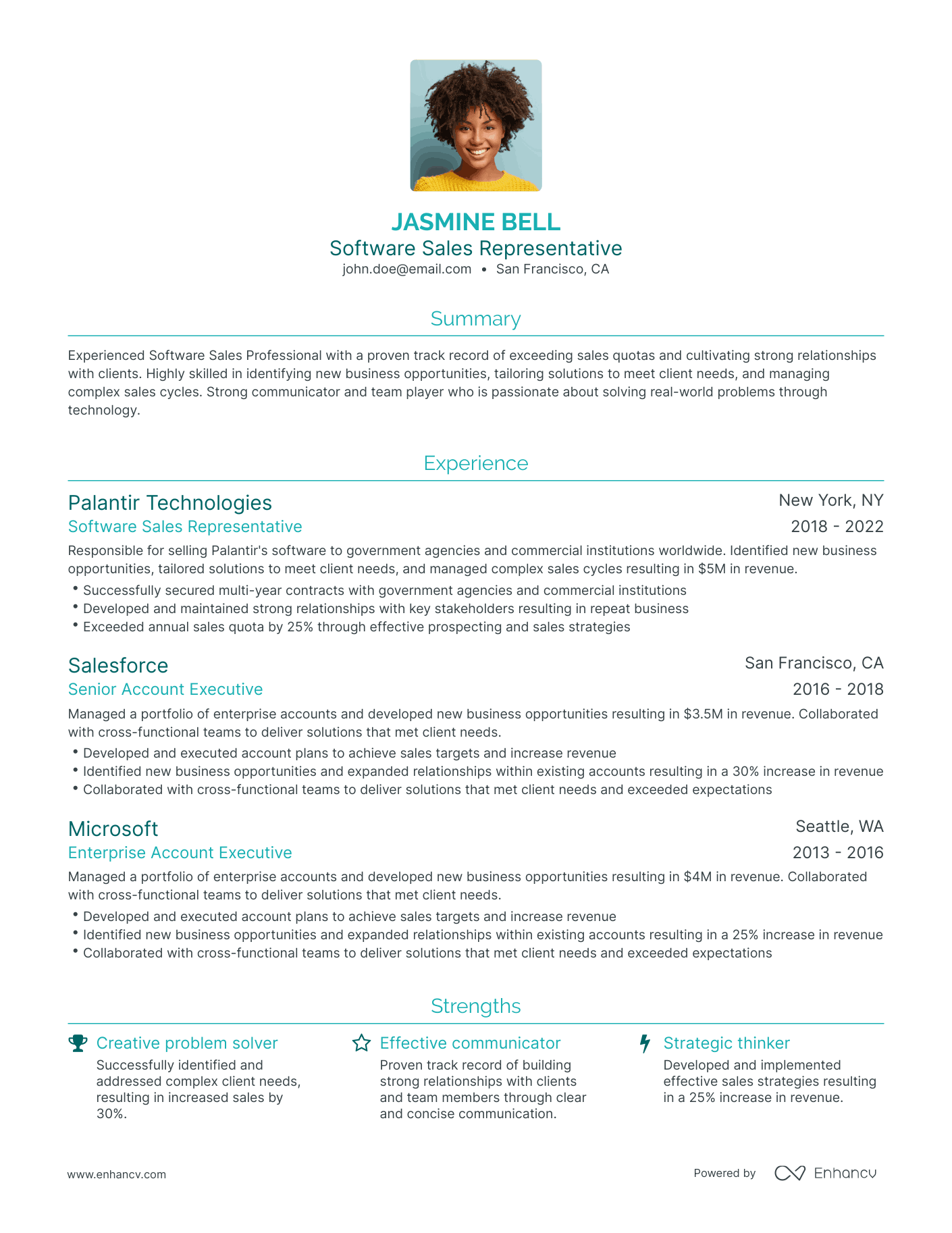 Traditional Software Sales Resume Template