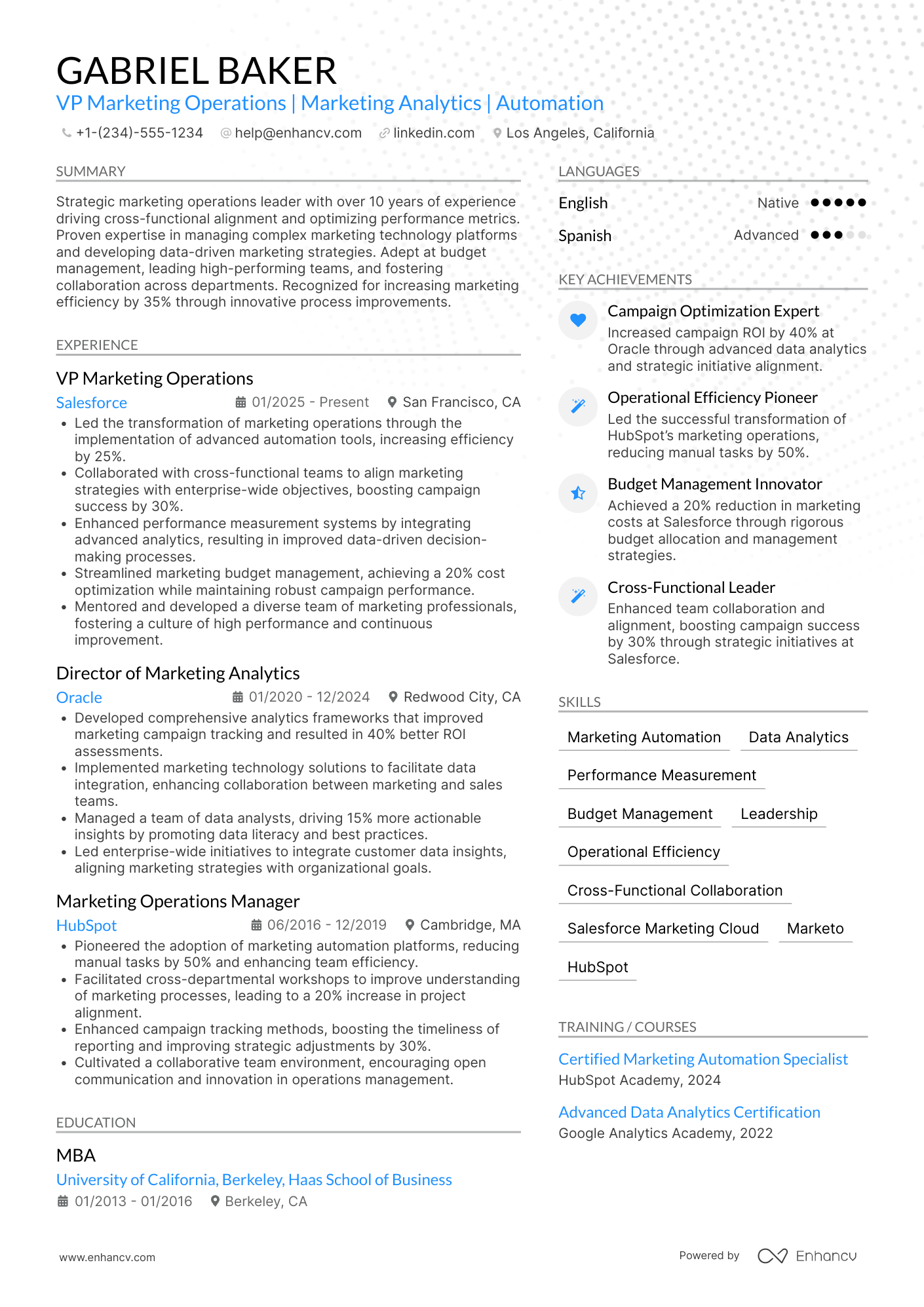 A resume example of a VP Marketing Operations