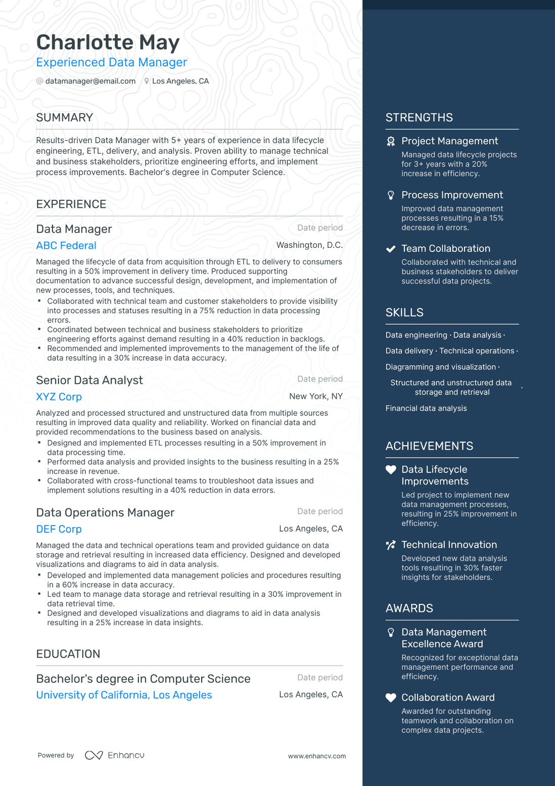 One Page Data Manager Resume Template