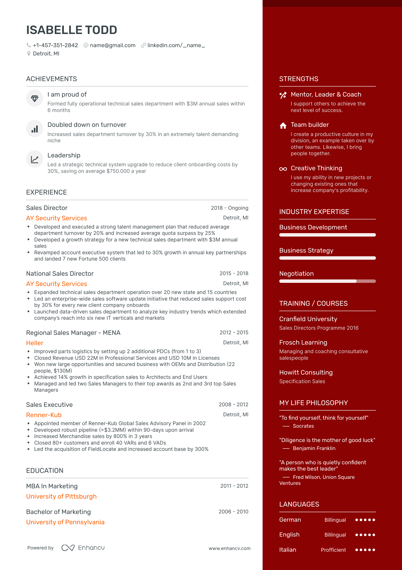 One Page Sales Director Resume Template