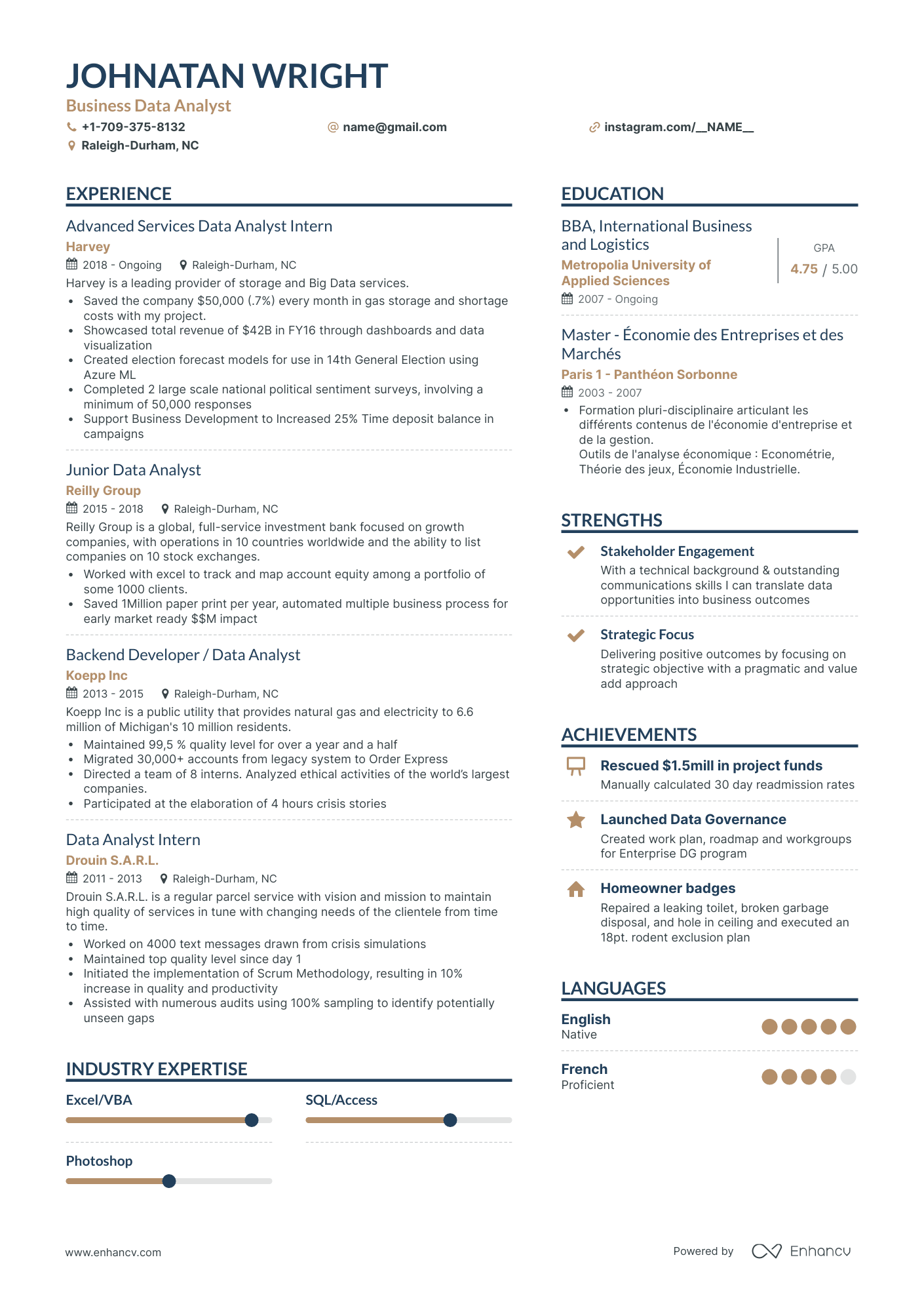 Simple Business Data Analyst Resume Template