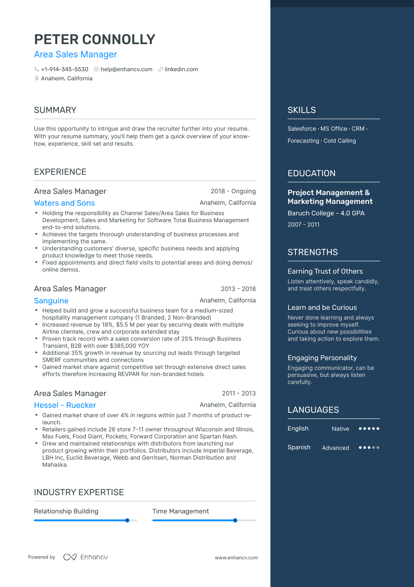 Area Sales Manager Resume Examples & Guide for 2023 (Layout, Skills ...