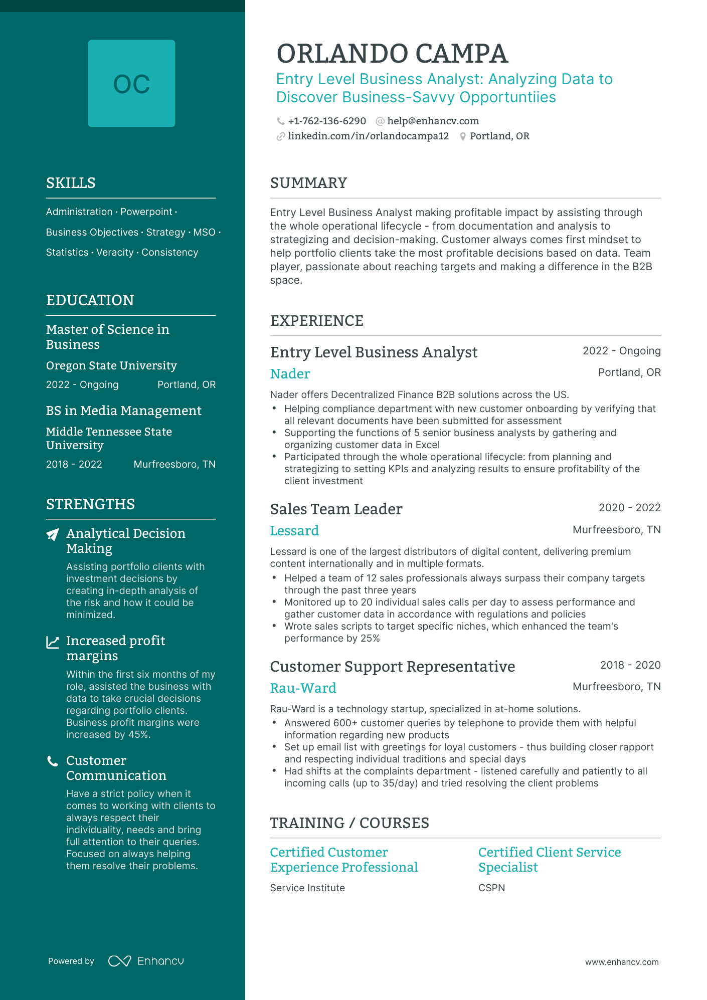Polished Entry Level Business Analyst Resume Template