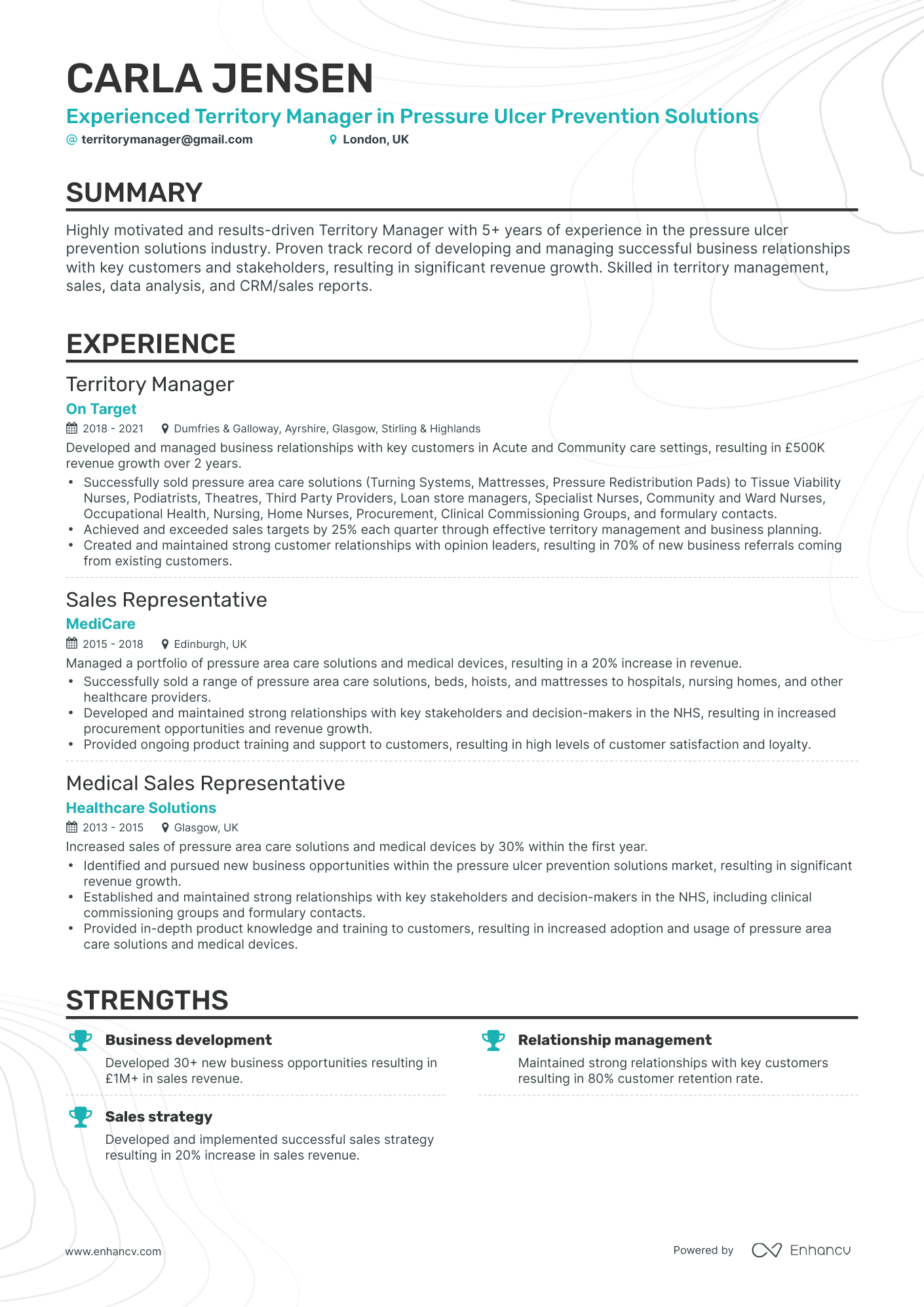 Classic Territory Manager Resume Template