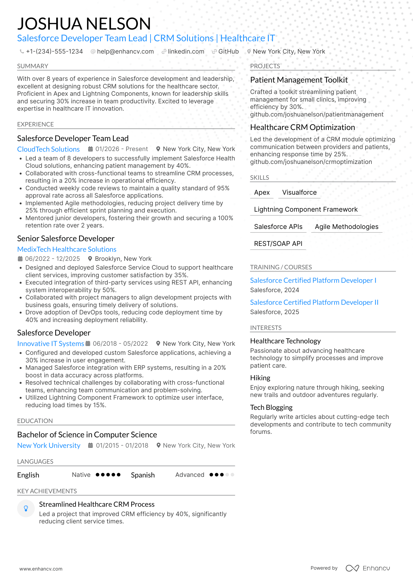A resume example of a Salesforce Developer Team Lead