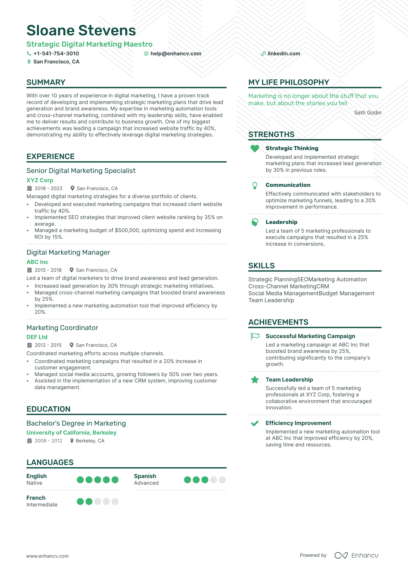 sample resume for digital marketing manager