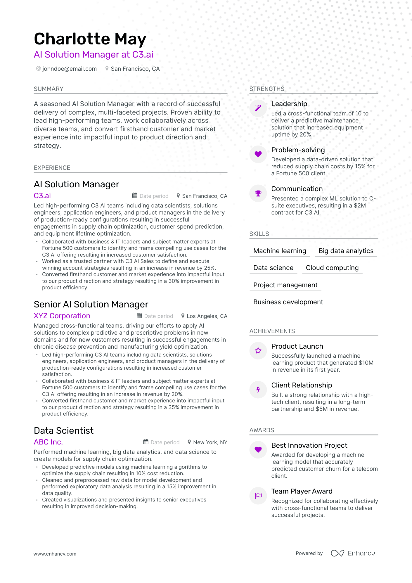 Modern Solution Manager Resume Template